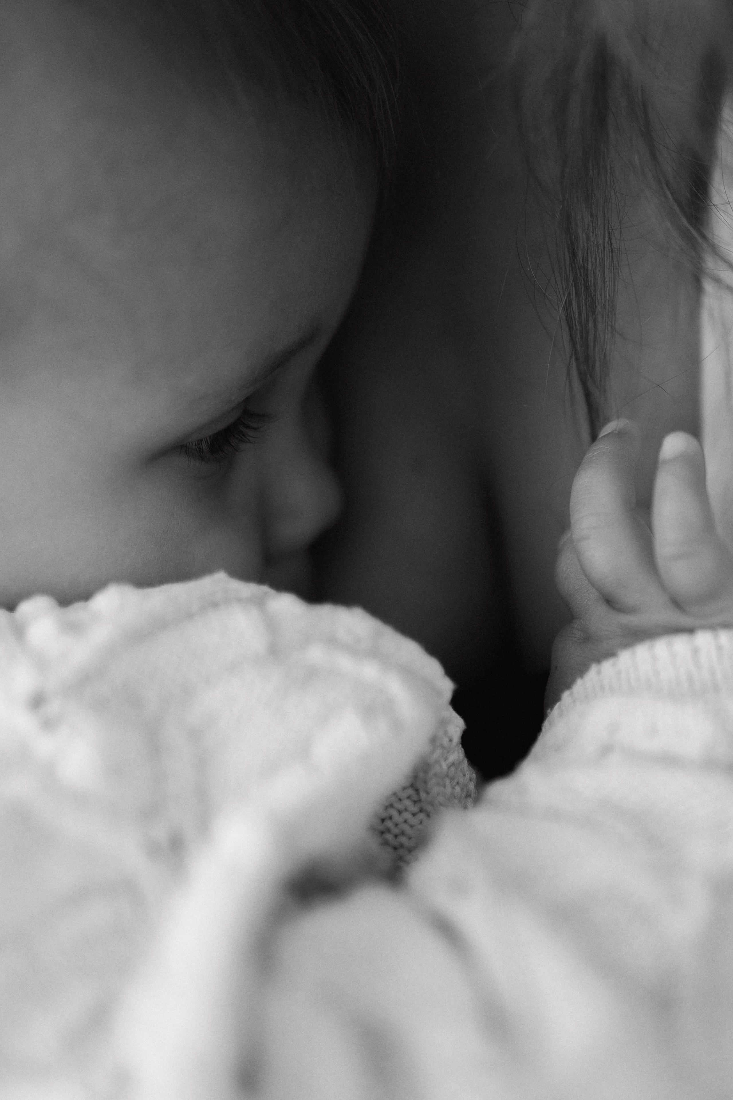 Лола и Софи. Главная