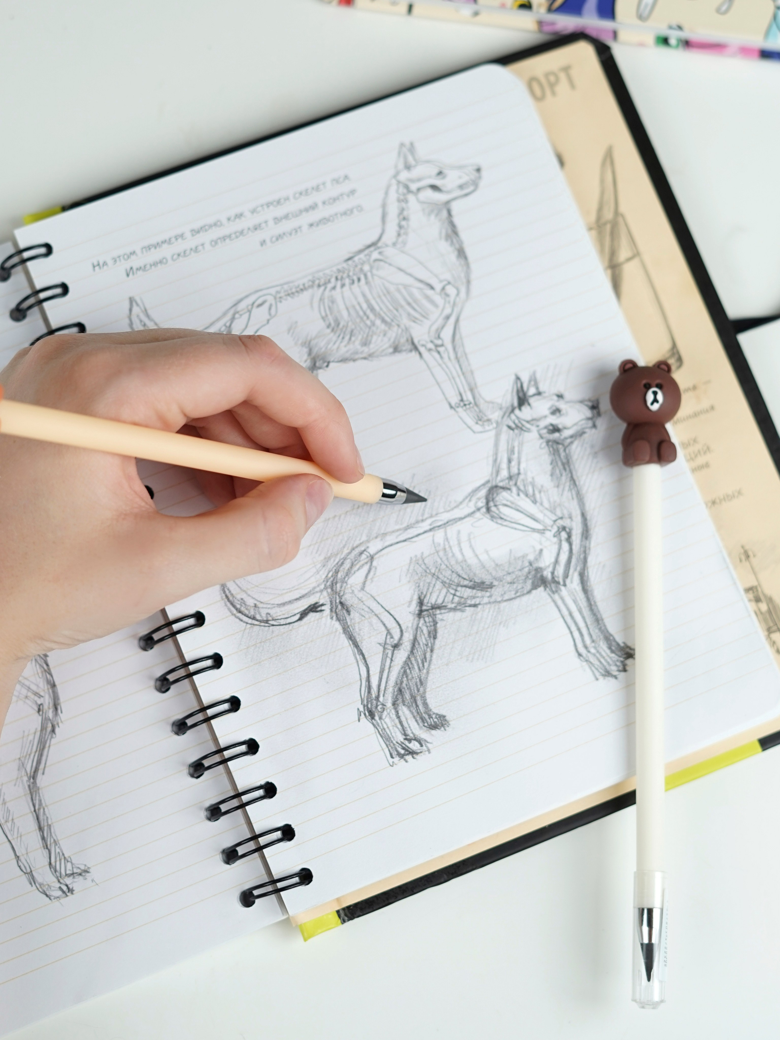 Канцелярия. Концептуальный фотограф Шлыкова Ольга