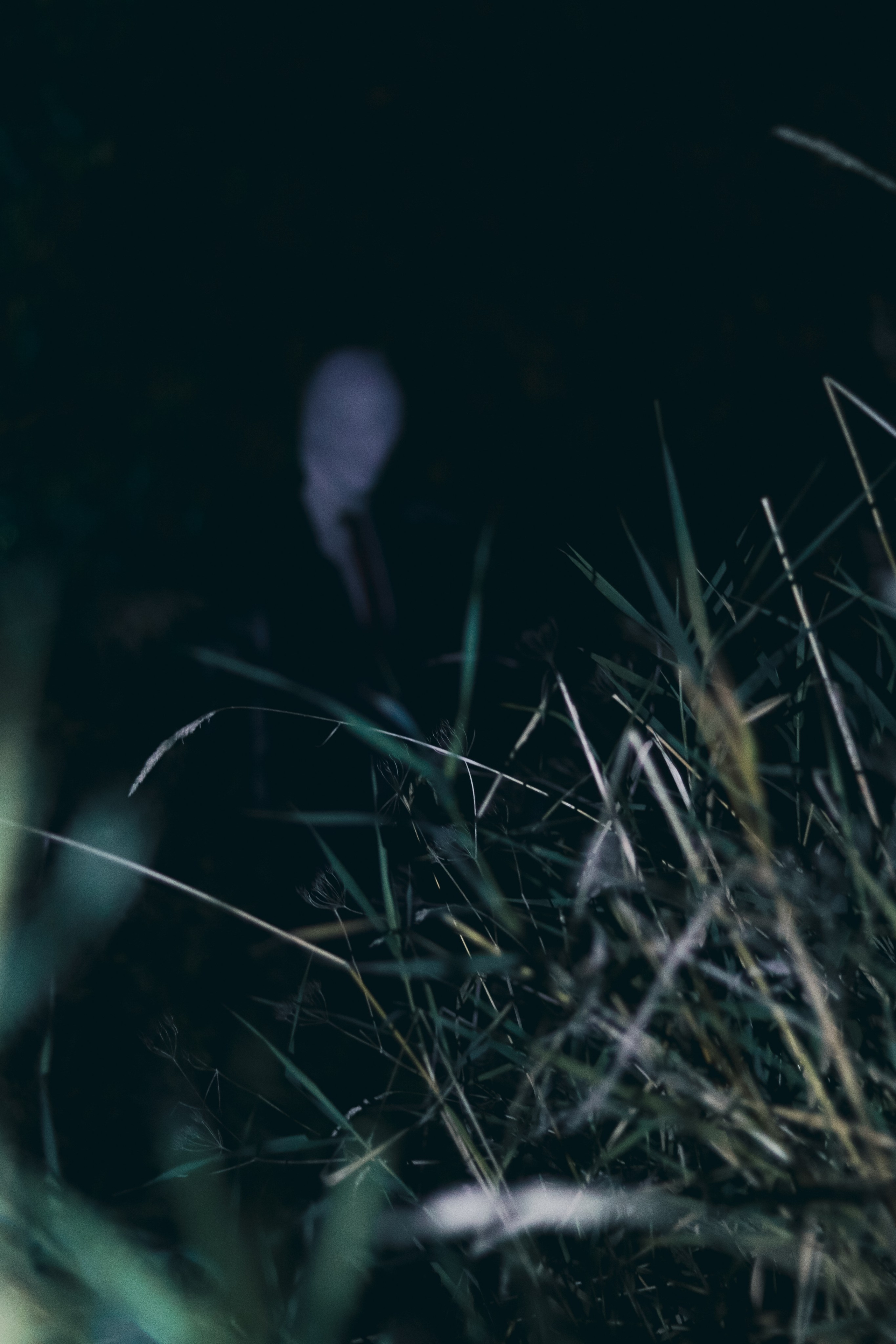 Фотосессия по фильму слендермен. Ивентный фотограф в Санкт-Петербурге Олег Комков