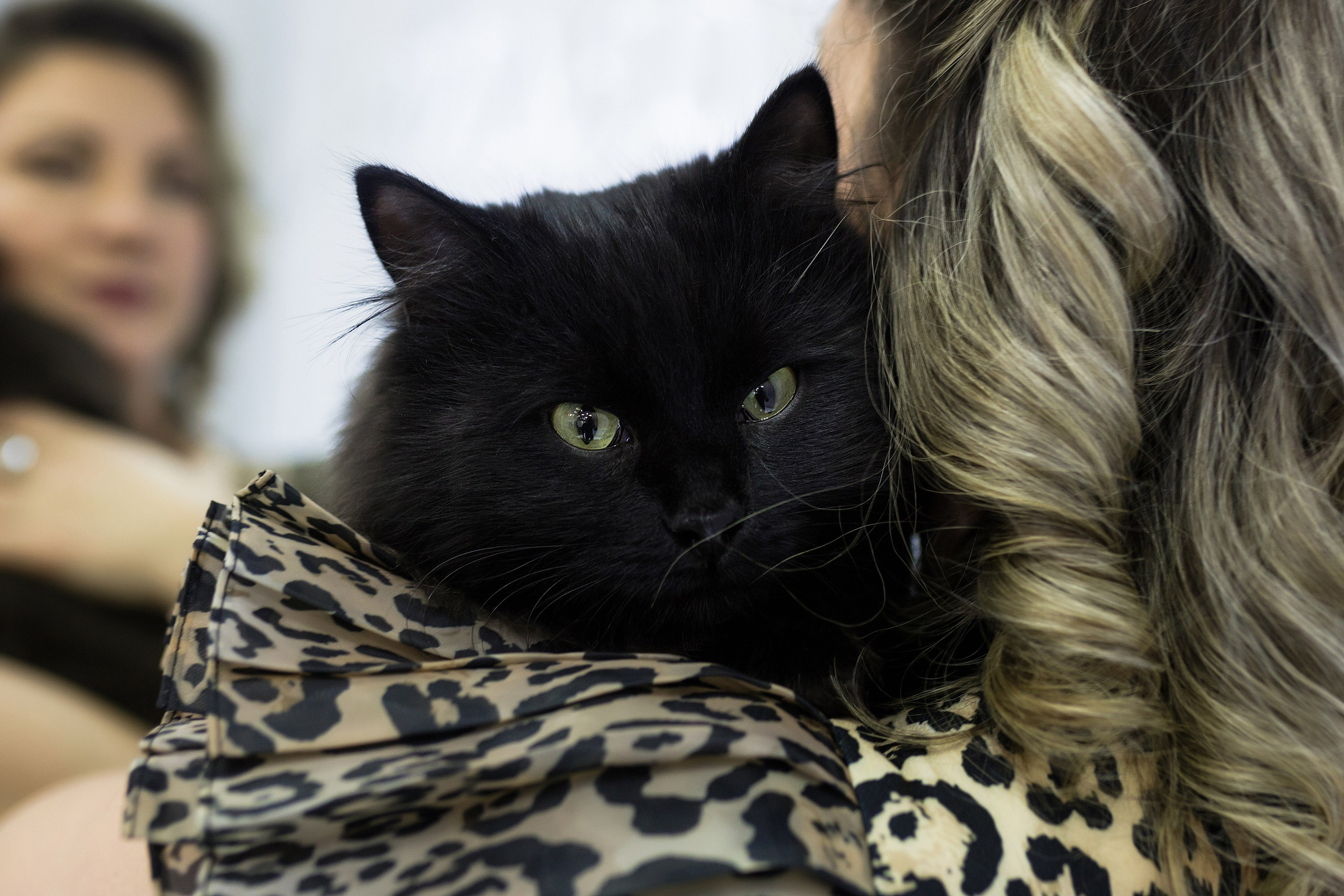 ИНДИВИДУАЛЬНЫЕ. Roman Photo