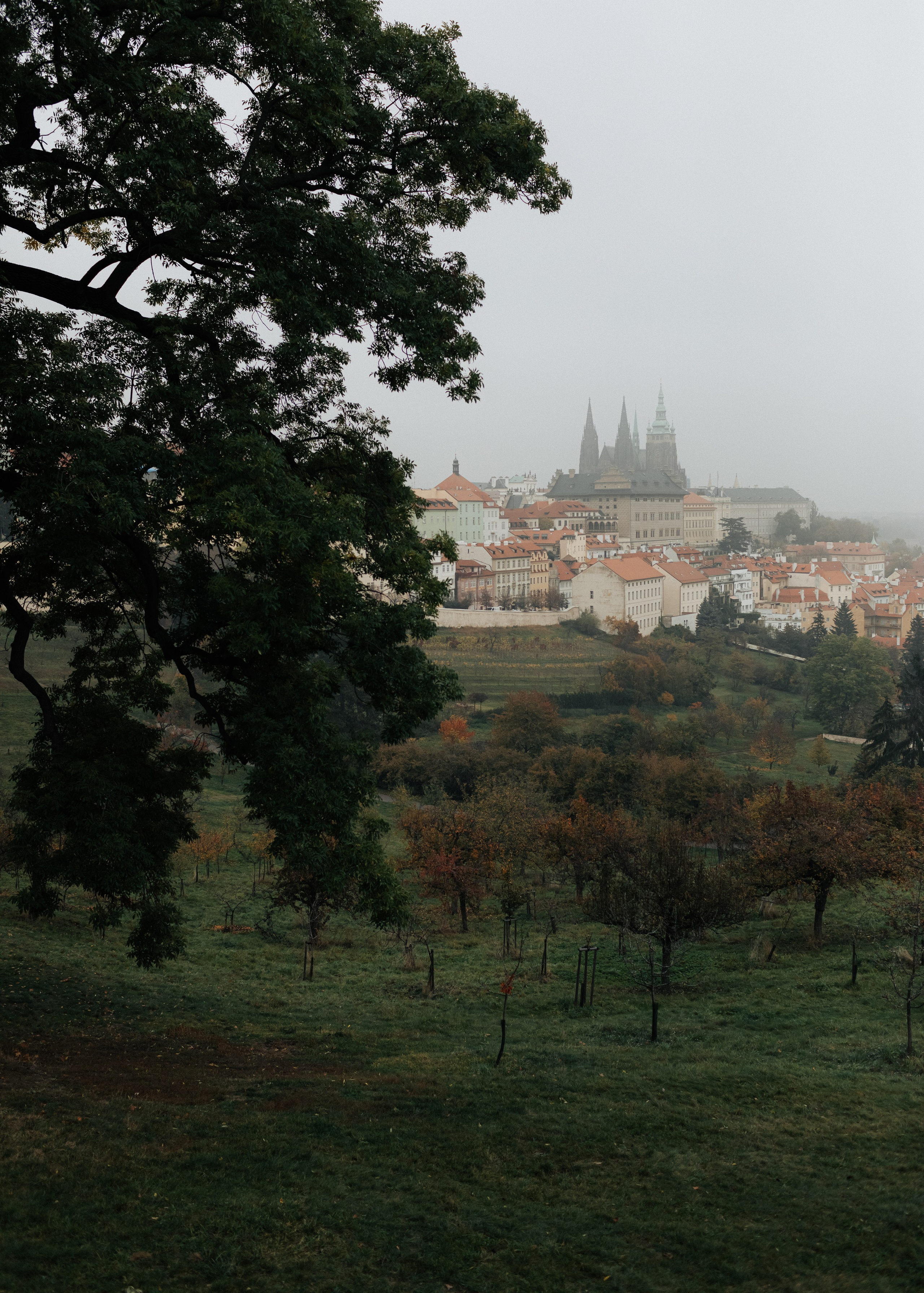 Visit Czech Republic. Вадим Ветров