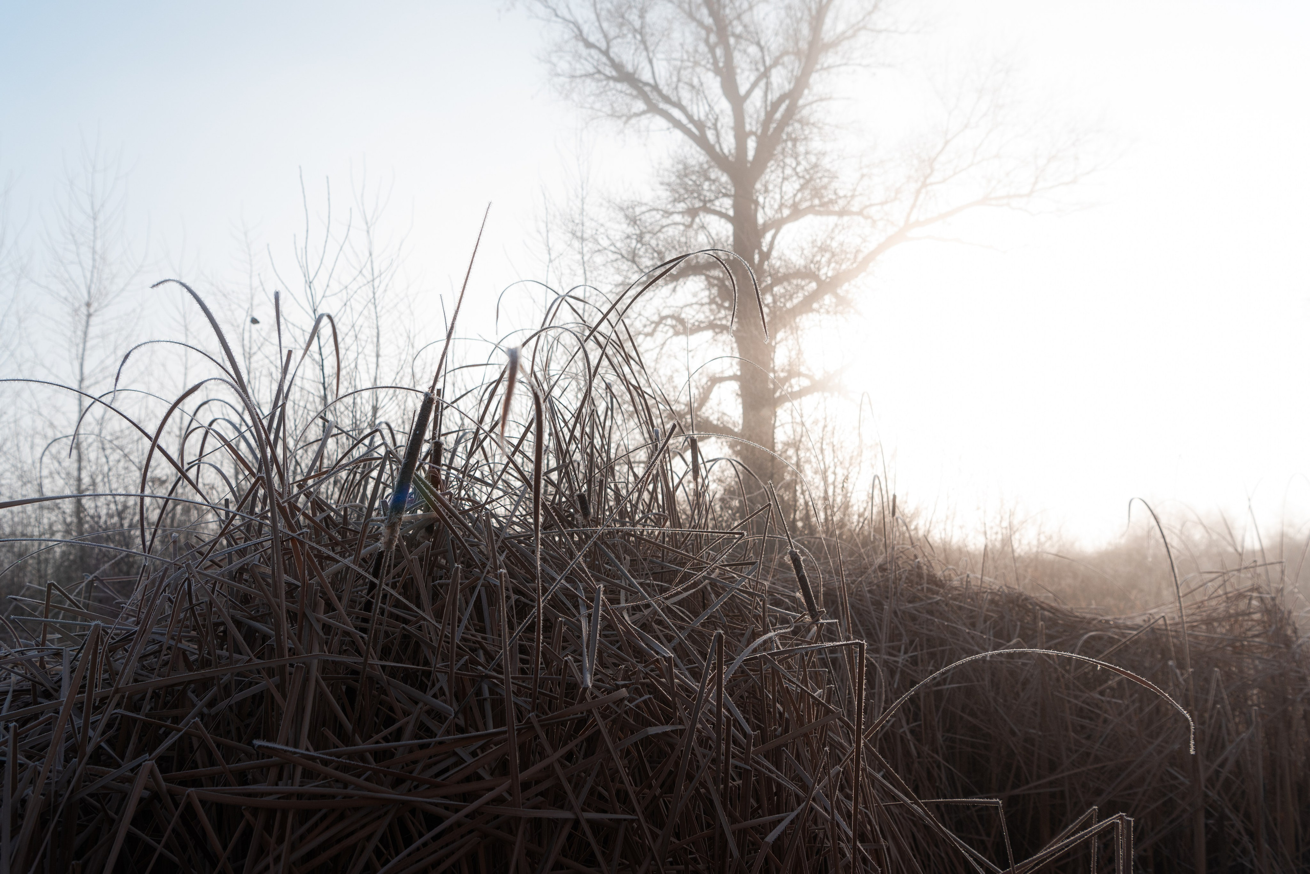 Фотографии утреннего тумана под Волжским. Фотограф в Волгограде и Волжском Александр Горбань