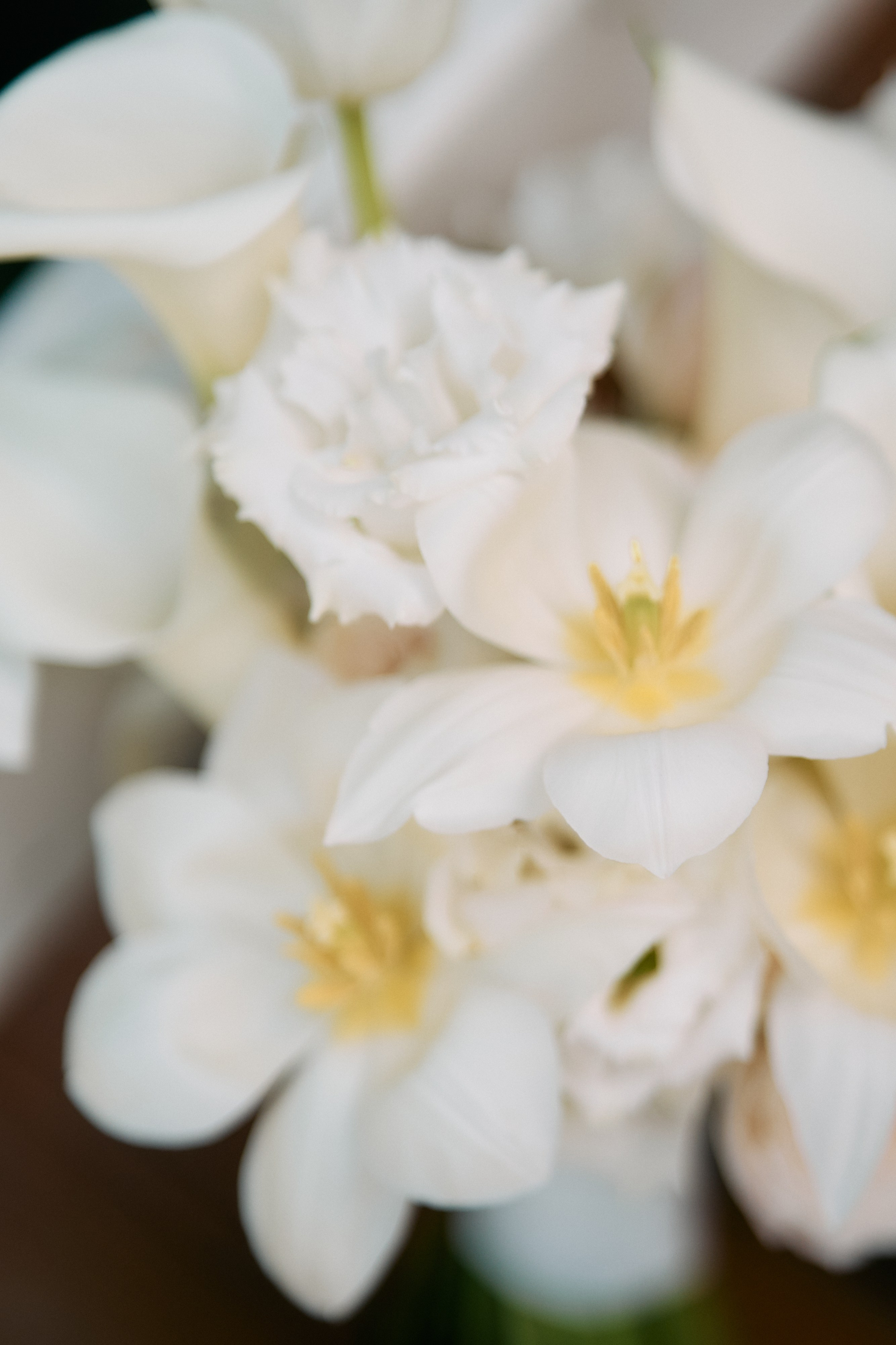 Виталий и Диана. Свадебный фотограф Минск РБ