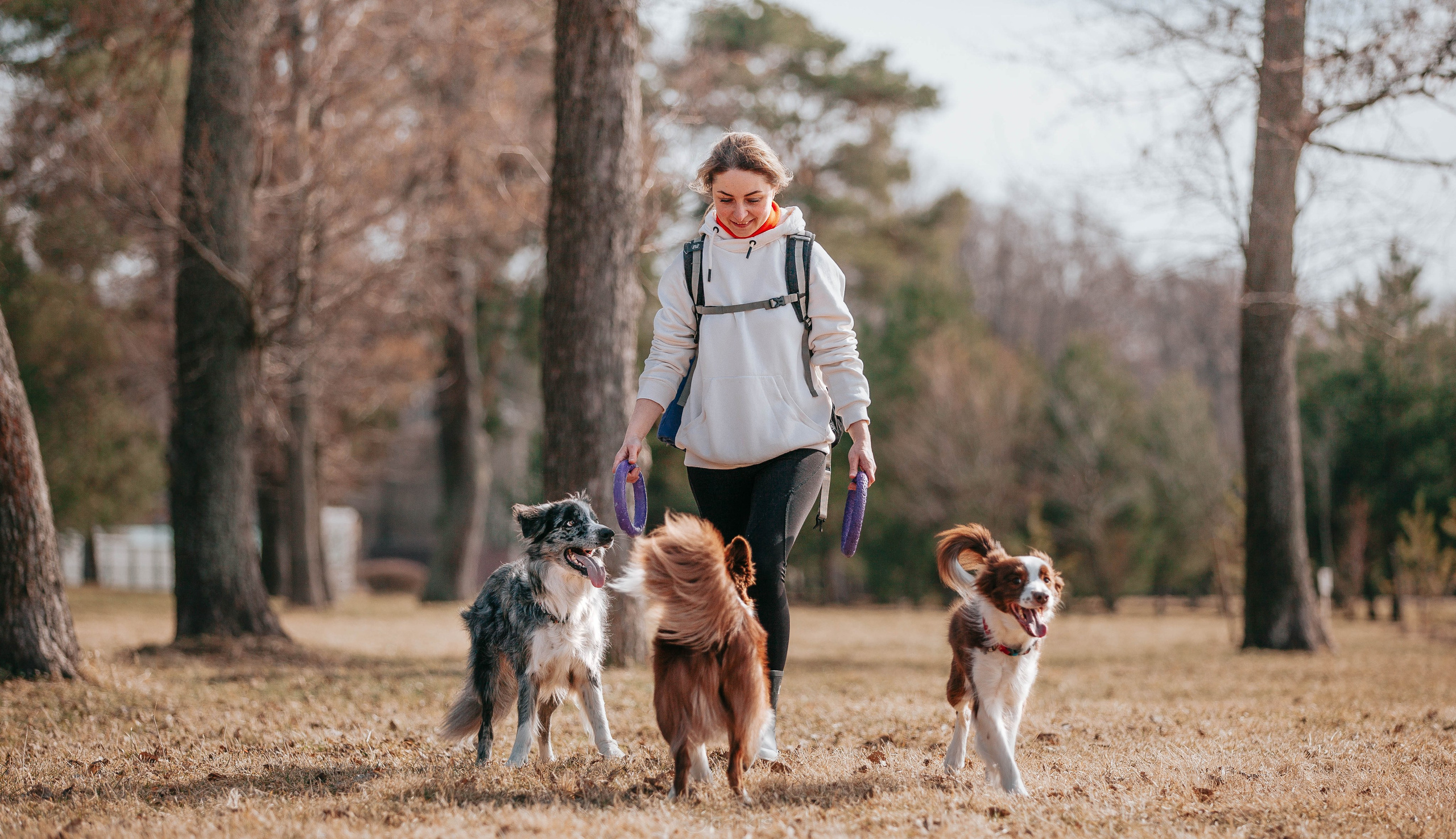 Бордюха, Лора, Берта, Мета. Главная