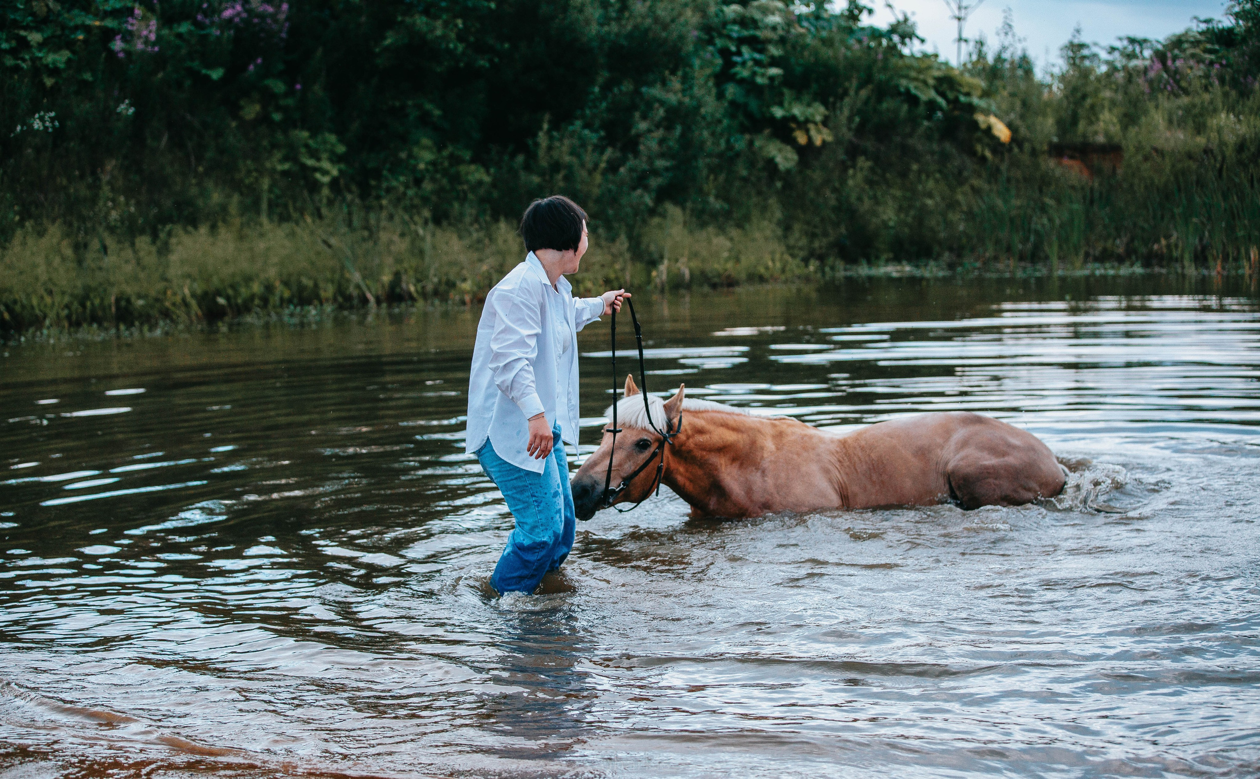 Алина и Гешефт. Главная
