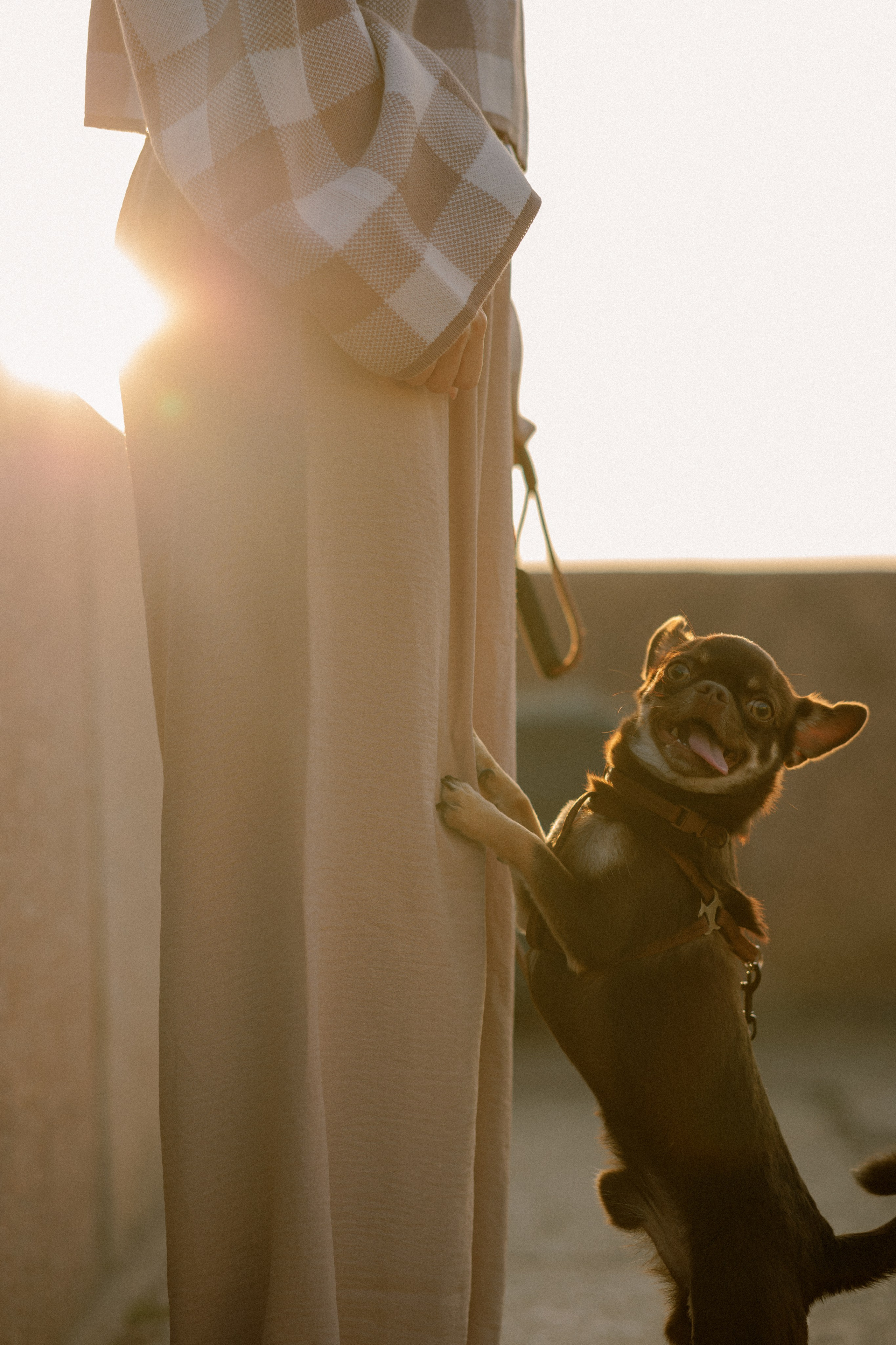 Анна и Хиппи. Фотограф в Санкт-Петербурге Алёна Губинская