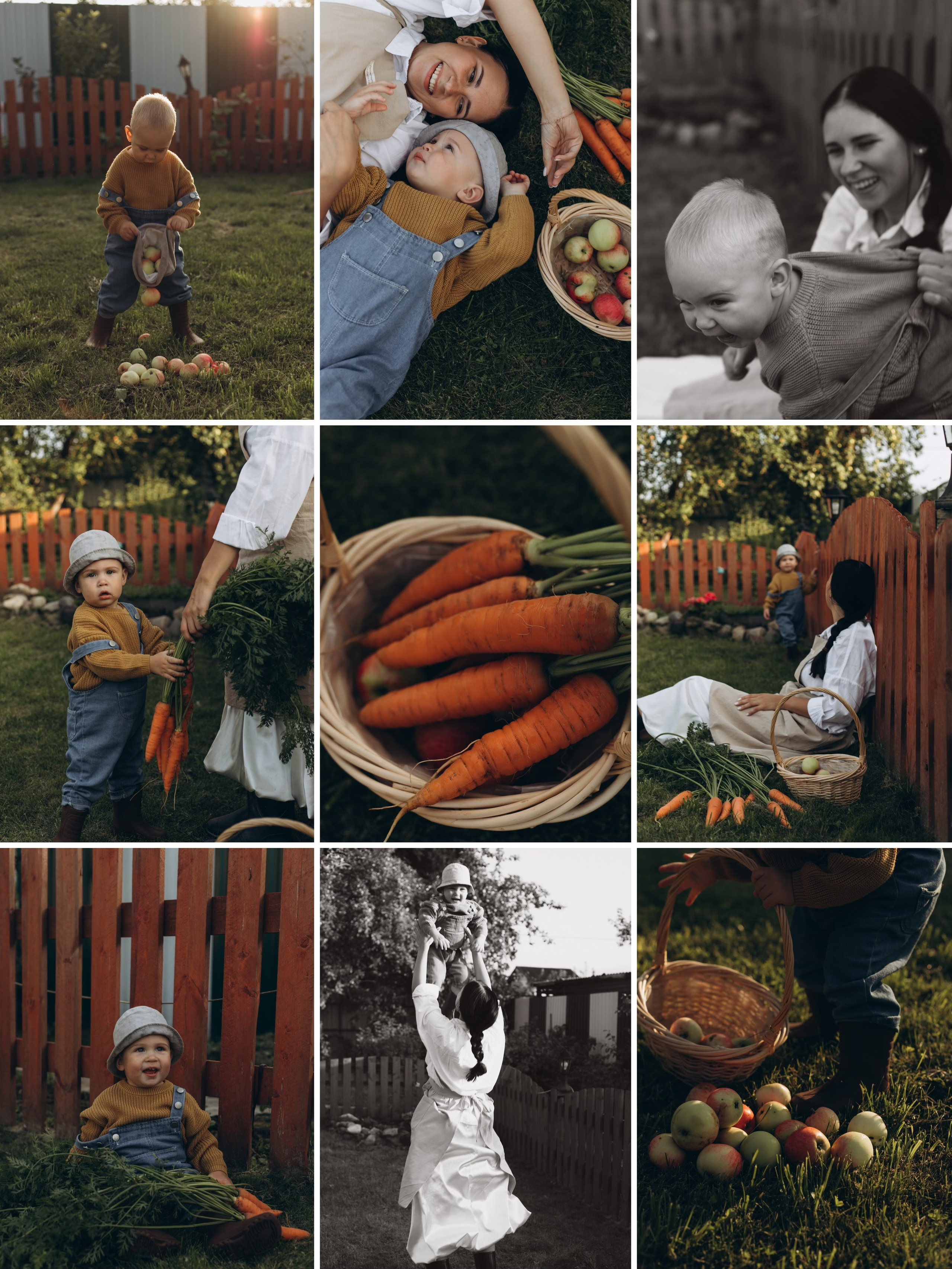 Морковная история 🥕🧡. Услуги