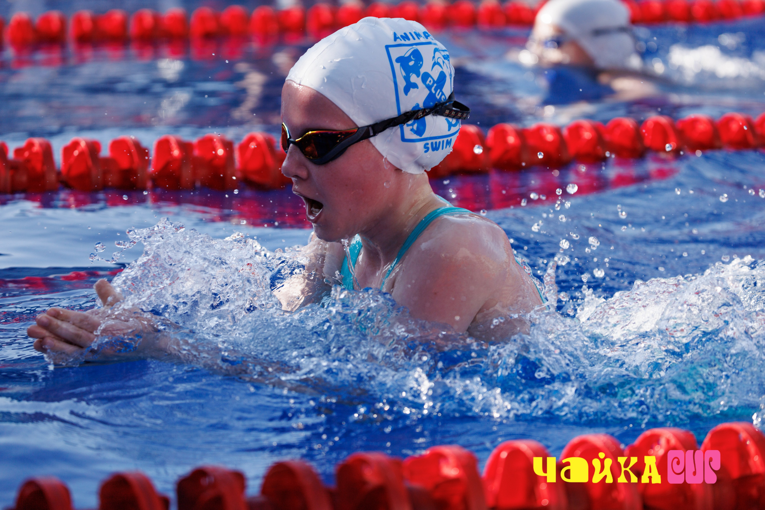 Чайка Cup / III этап. Спортивный фотограф Алексей Соломин