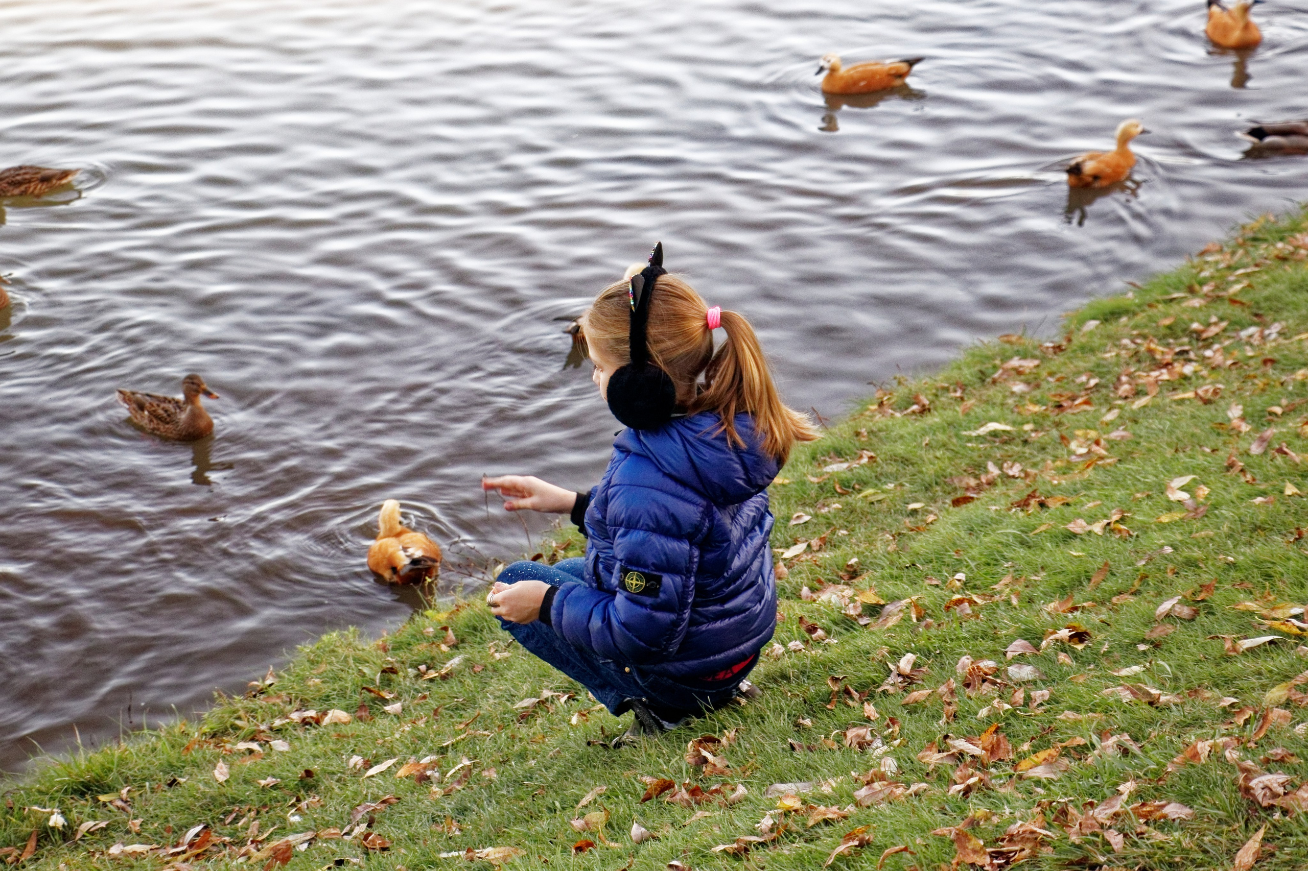 ЦАРИЦИНО. Фотограф Владимир Роля