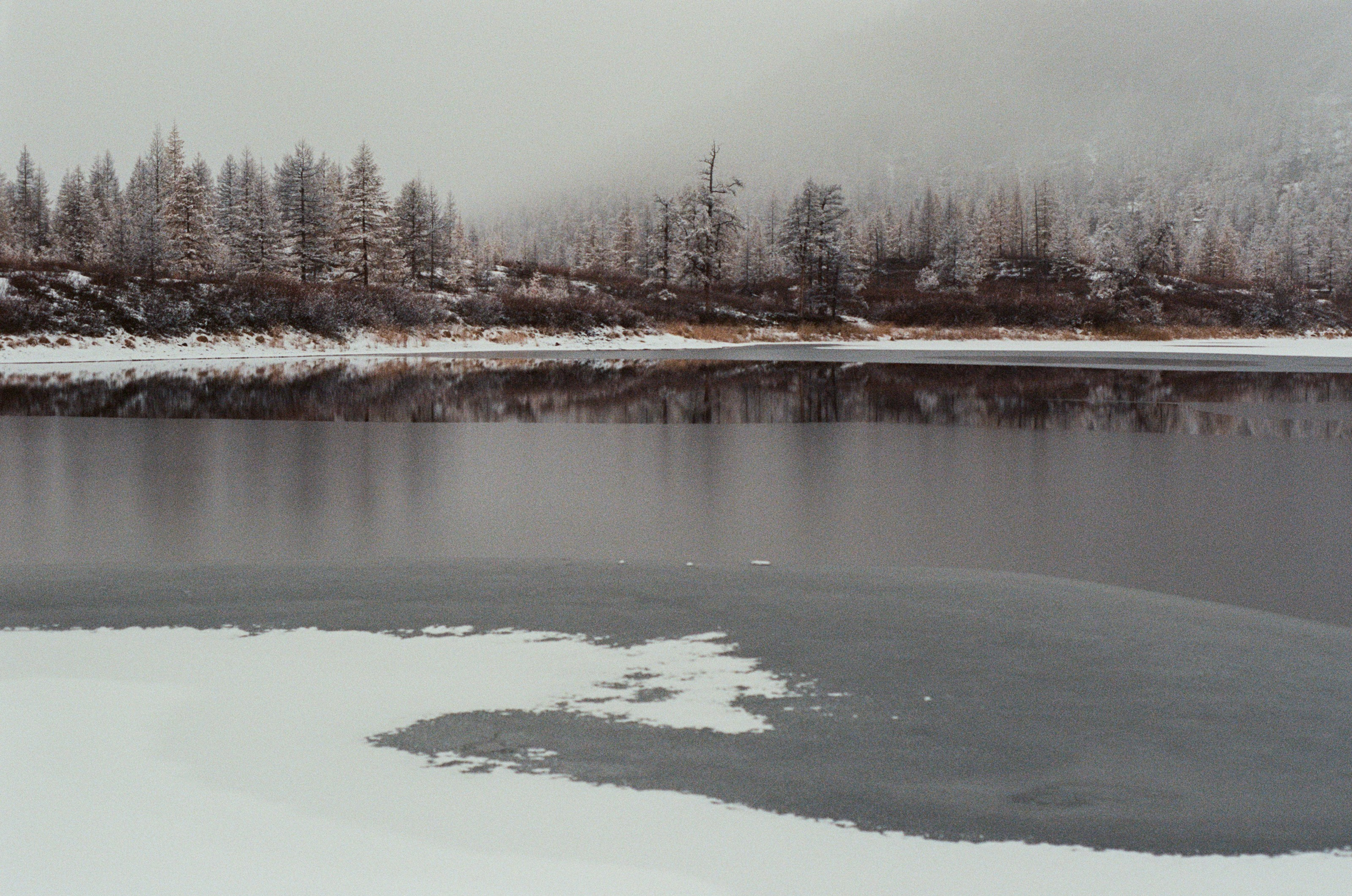 Не забудь накормить озеро. Natalya Madilyan