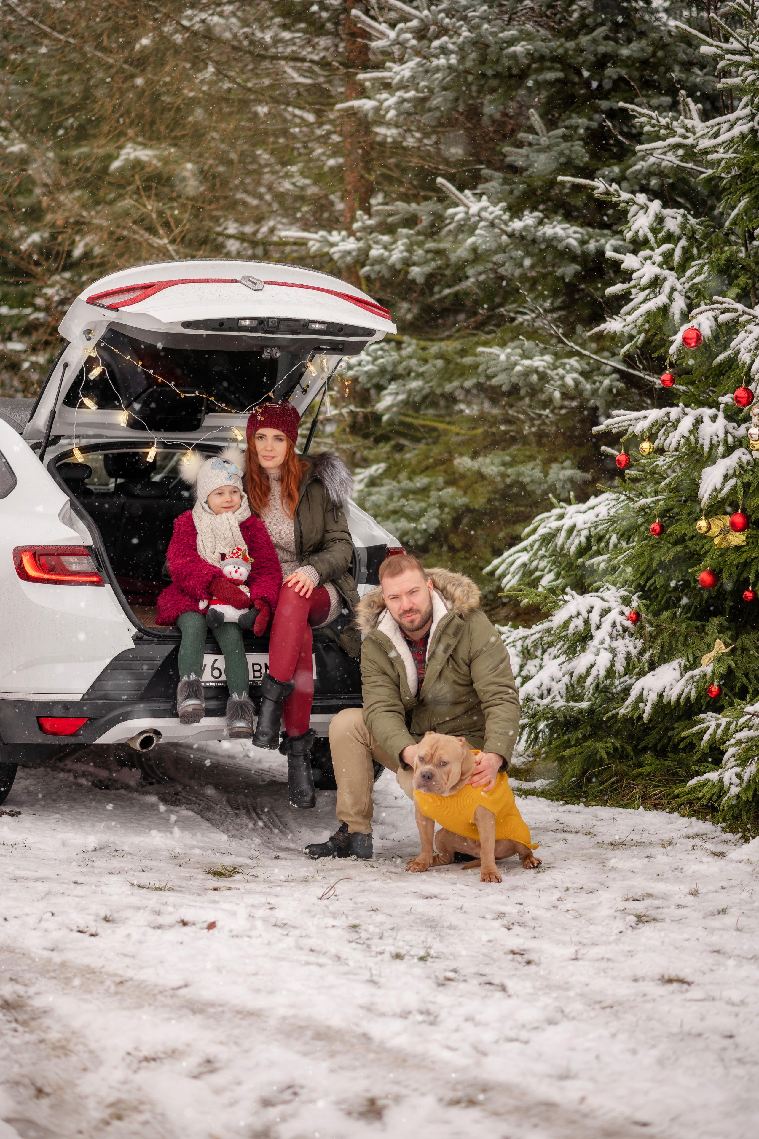 Снежный лес. Свадебный, семейный и детский фотограф в Москве и области