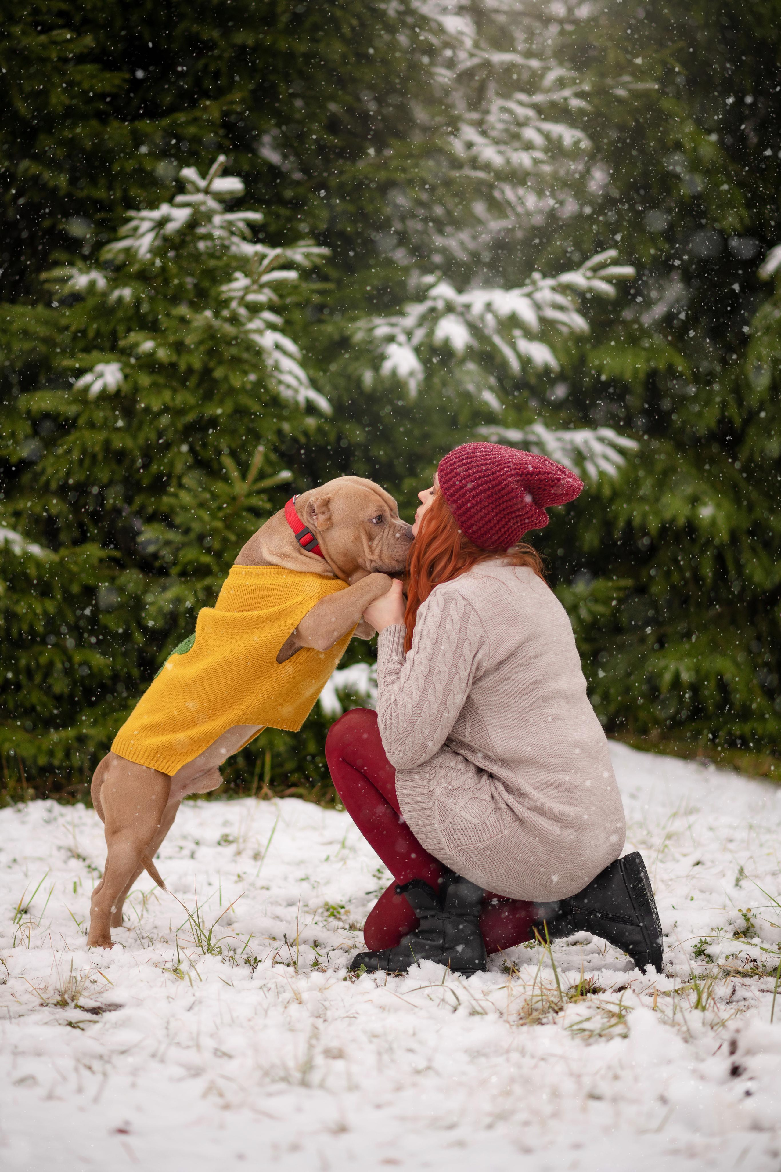 Снежный лес. Свадебный, семейный и детский фотограф в Москве и области
