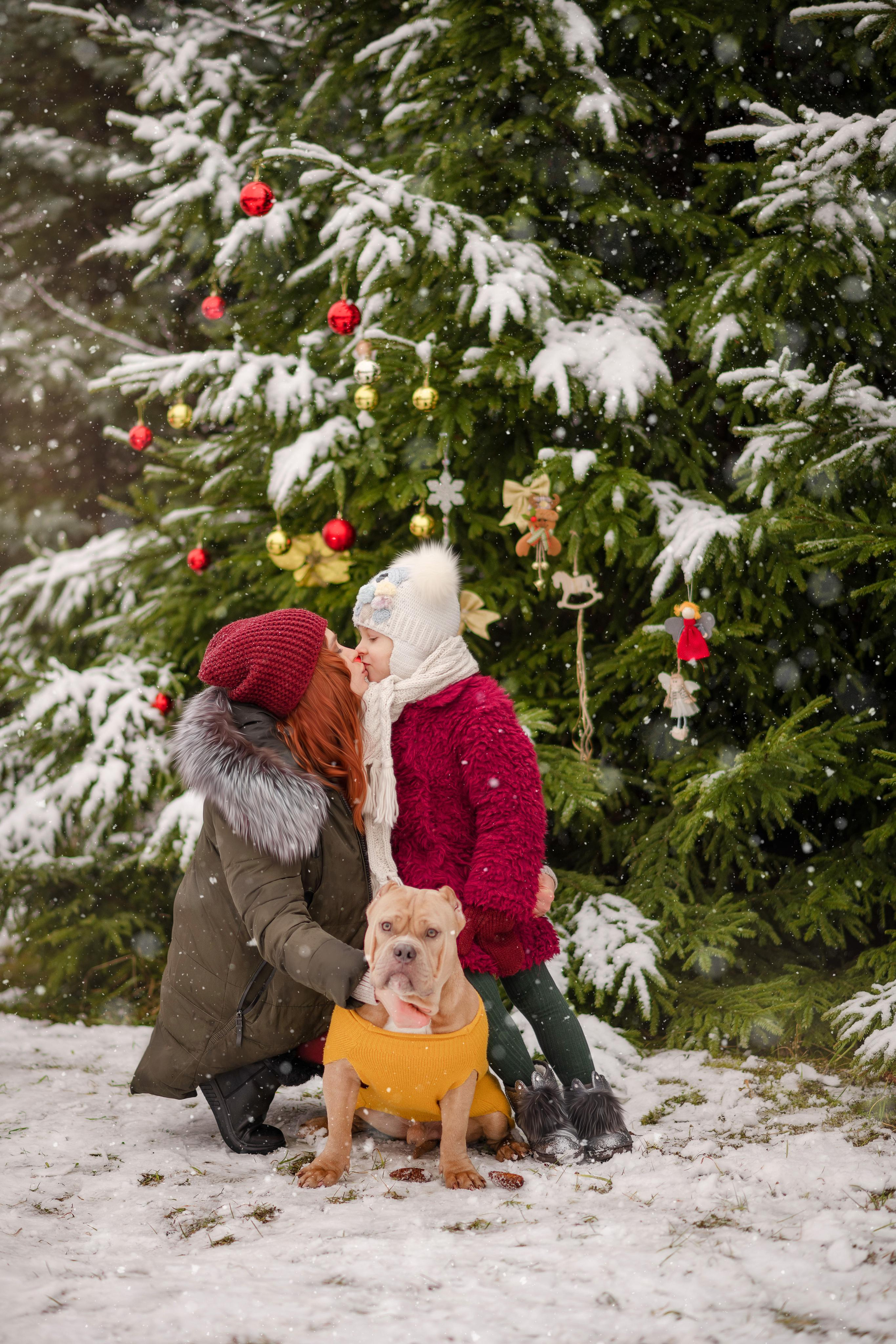 Снежный лес. Свадебный, семейный и детский фотограф в Москве и области