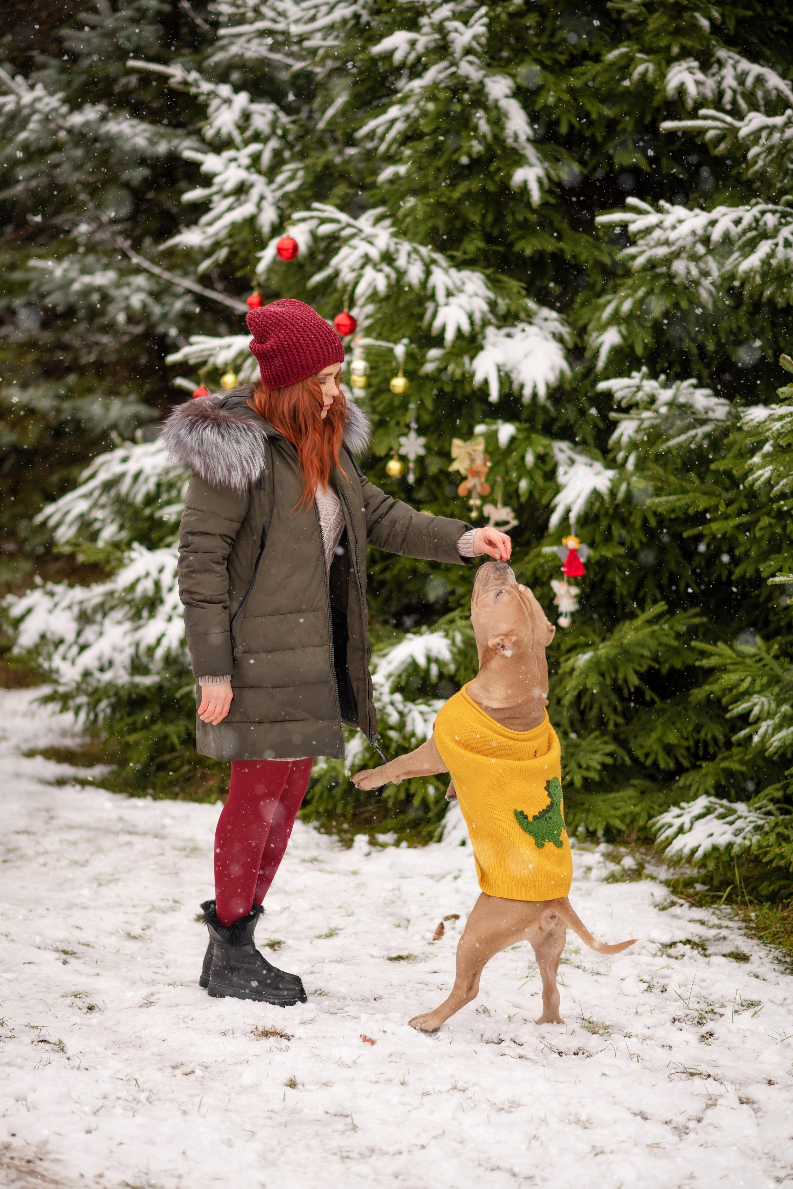 Снежный лес. Свадебный, семейный и детский фотограф в Москве и области