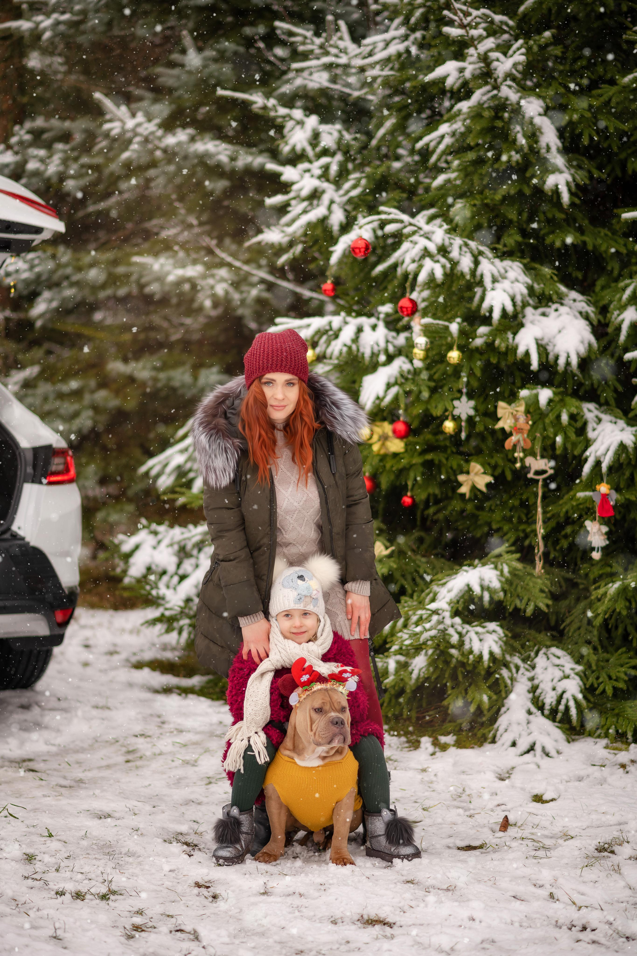 Снежный лес. Свадебный, семейный и детский фотограф в Москве и области