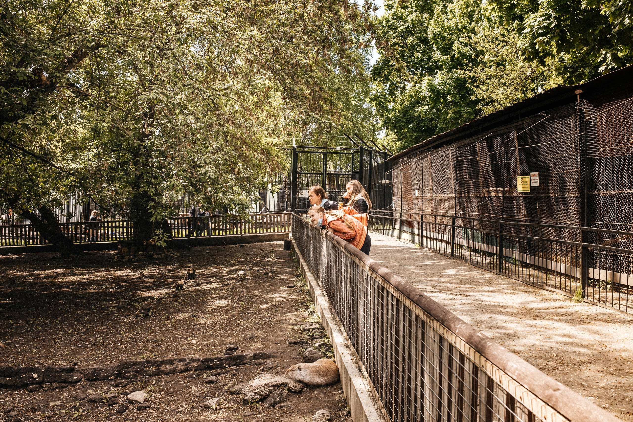 Репортаж 8 класс Пенза. Портретный и семейный фотограф в Саратове Елена Шустова