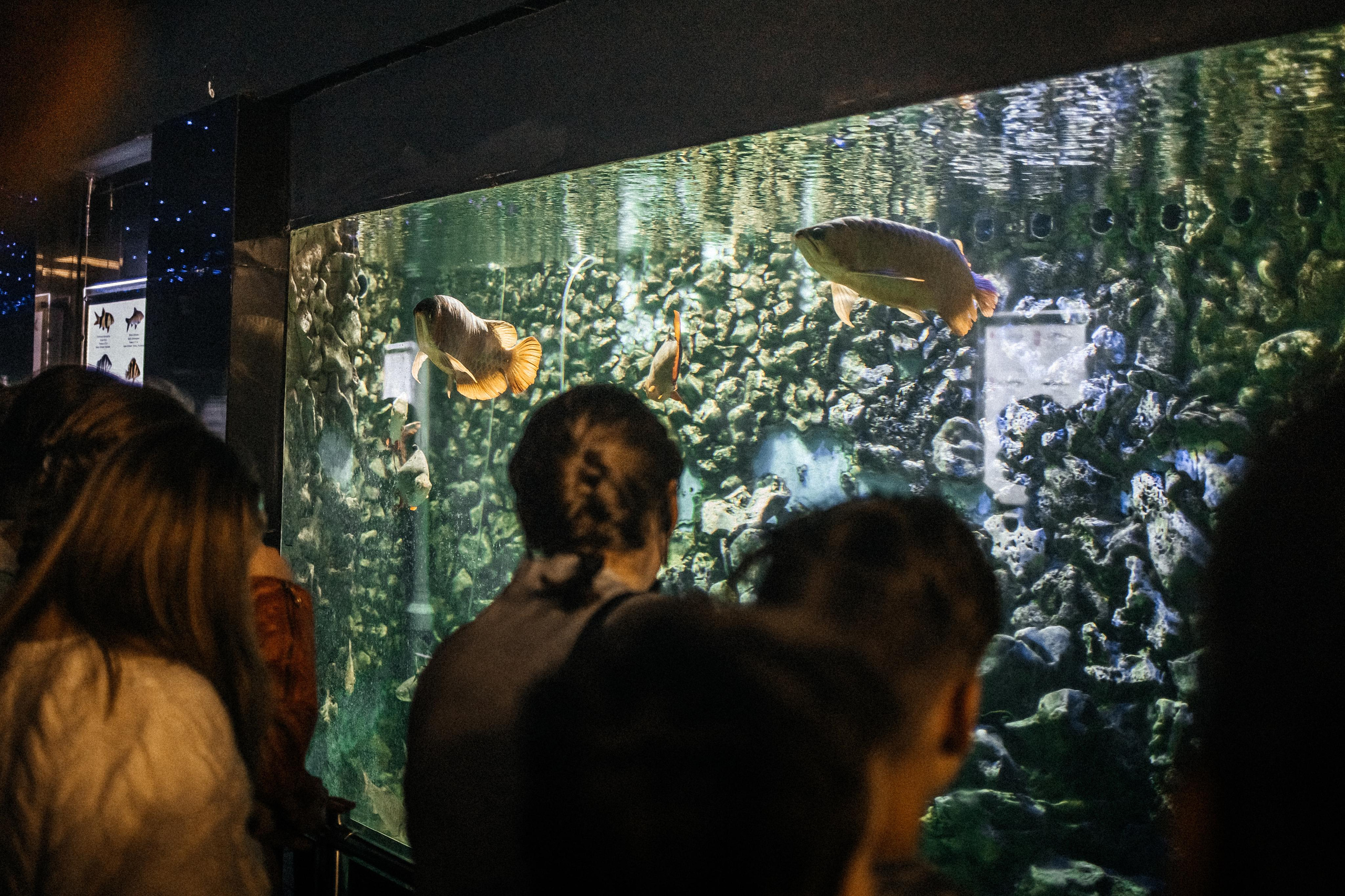 Репортаж 8 класс Пенза. Портретный и семейный фотограф в Саратове Елена Шустова