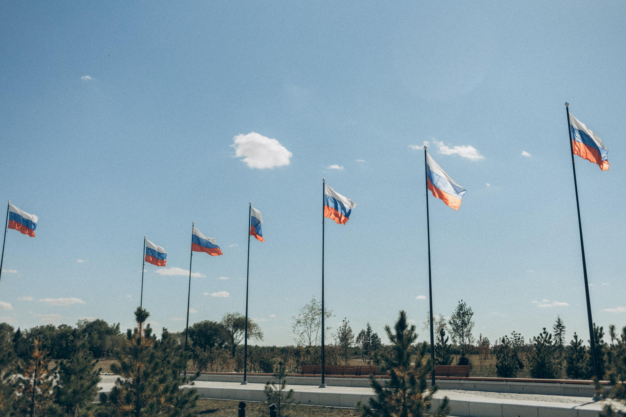 Репортаж 5 класс Энгельс. Портретный и семейный фотограф в Саратове Елена Шустова