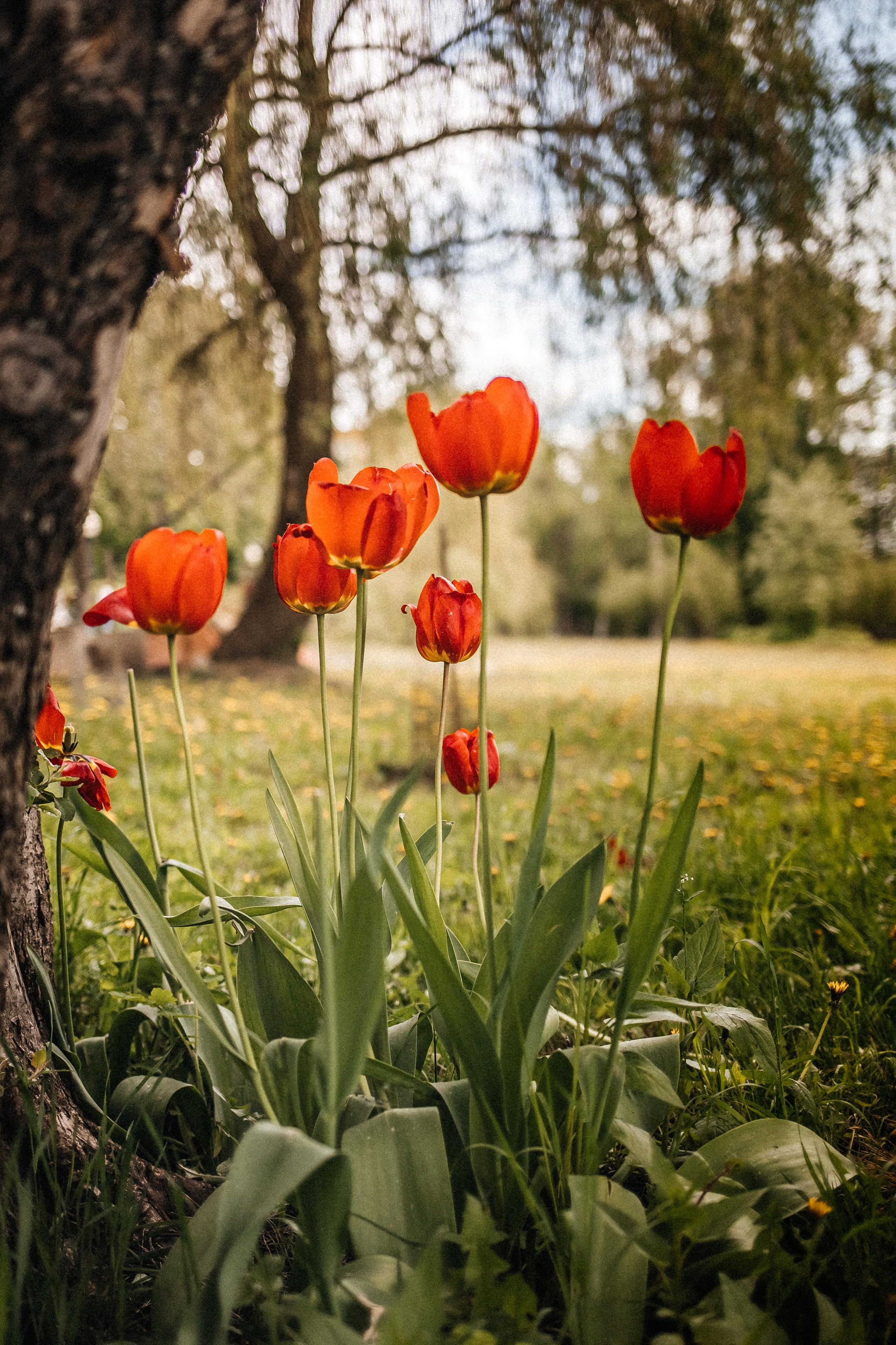 Репортаж 8 класс Пенза. Портретный и семейный фотограф в Саратове Елена Шустова