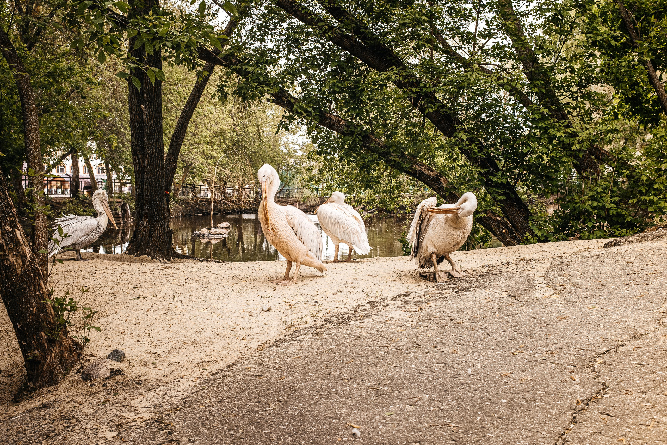 Репортаж 8 класс Пенза. Портретный и семейный фотограф в Саратове Елена Шустова