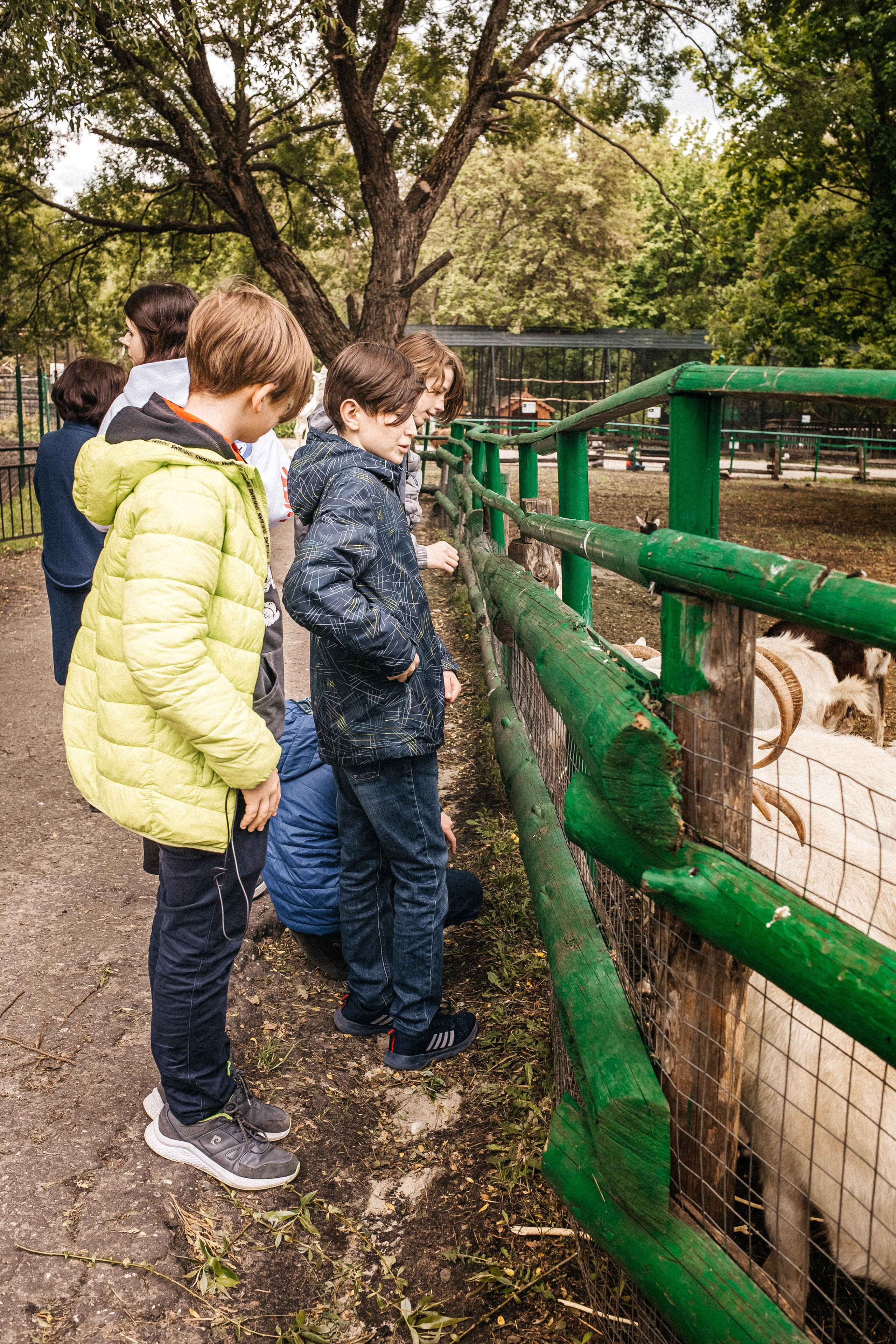 Репортаж 8 класс Пенза. Портретный и семейный фотограф в Саратове Елена Шустова
