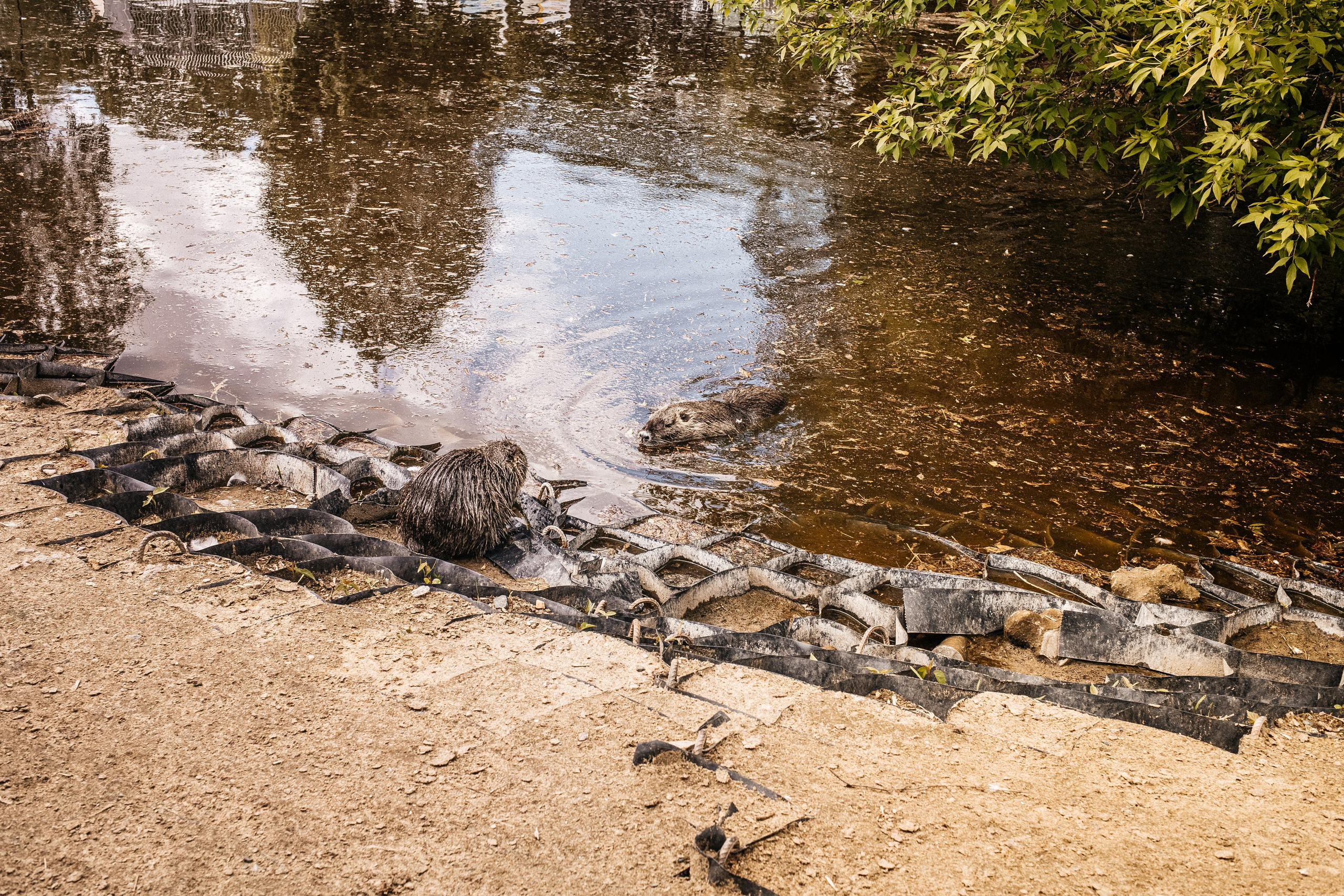Репортаж 8 класс Пенза. Портретный и семейный фотограф в Саратове Елена Шустова