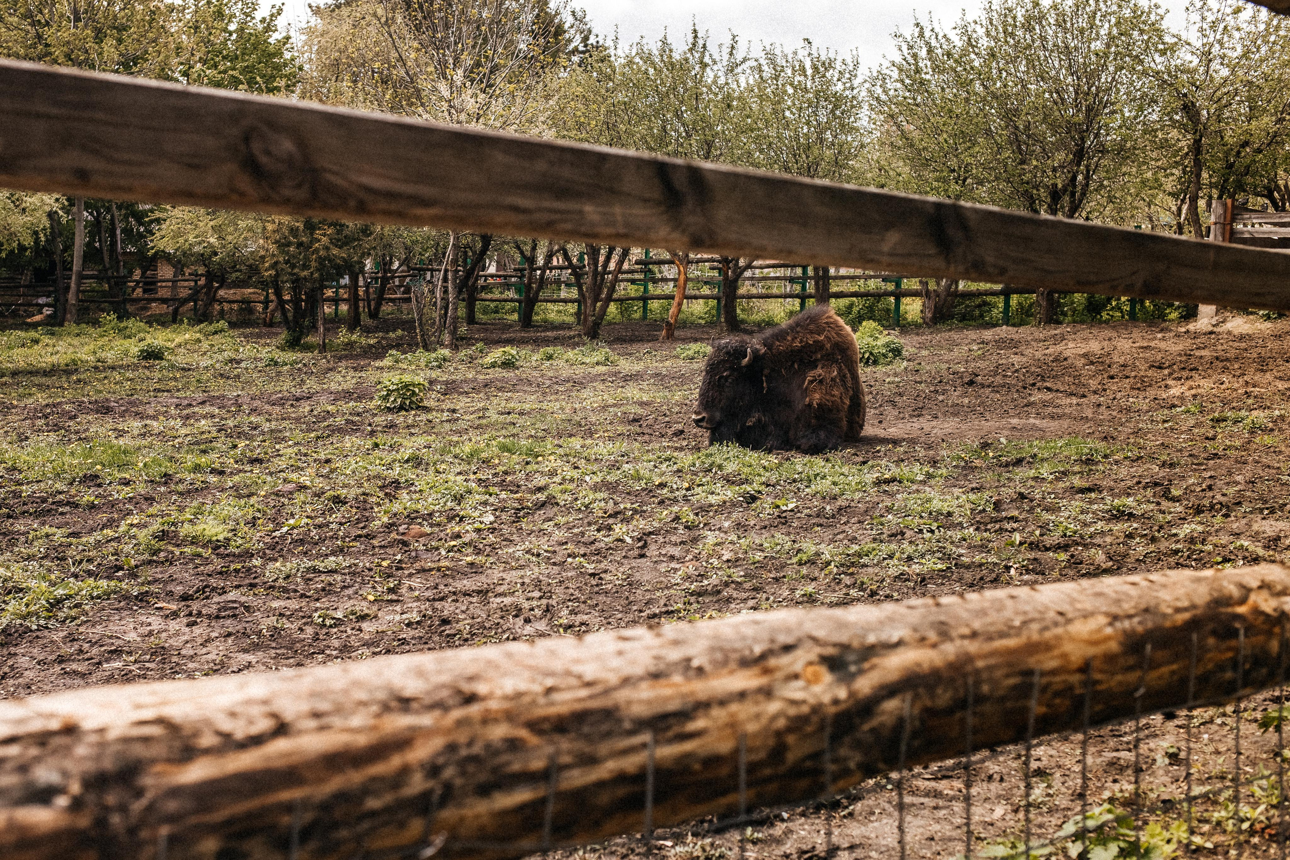 Репортаж 8 класс Пенза. Портретный и семейный фотограф в Саратове Елена Шустова