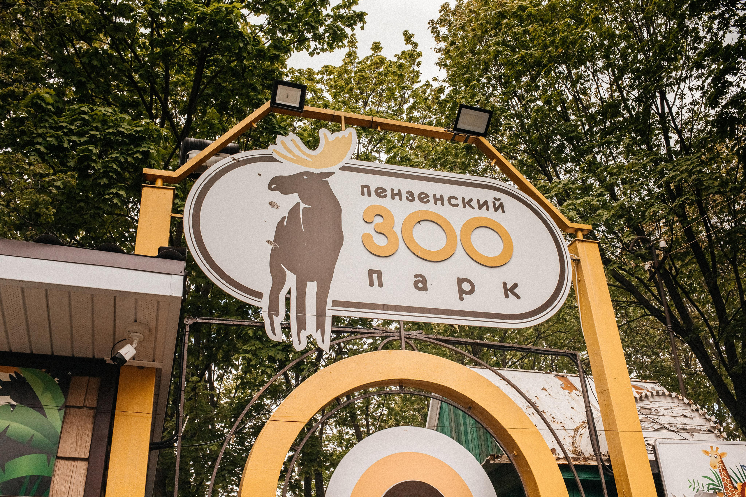 Репортаж 8 класс Пенза. Портретный и семейный фотограф в Саратове Елена Шустова