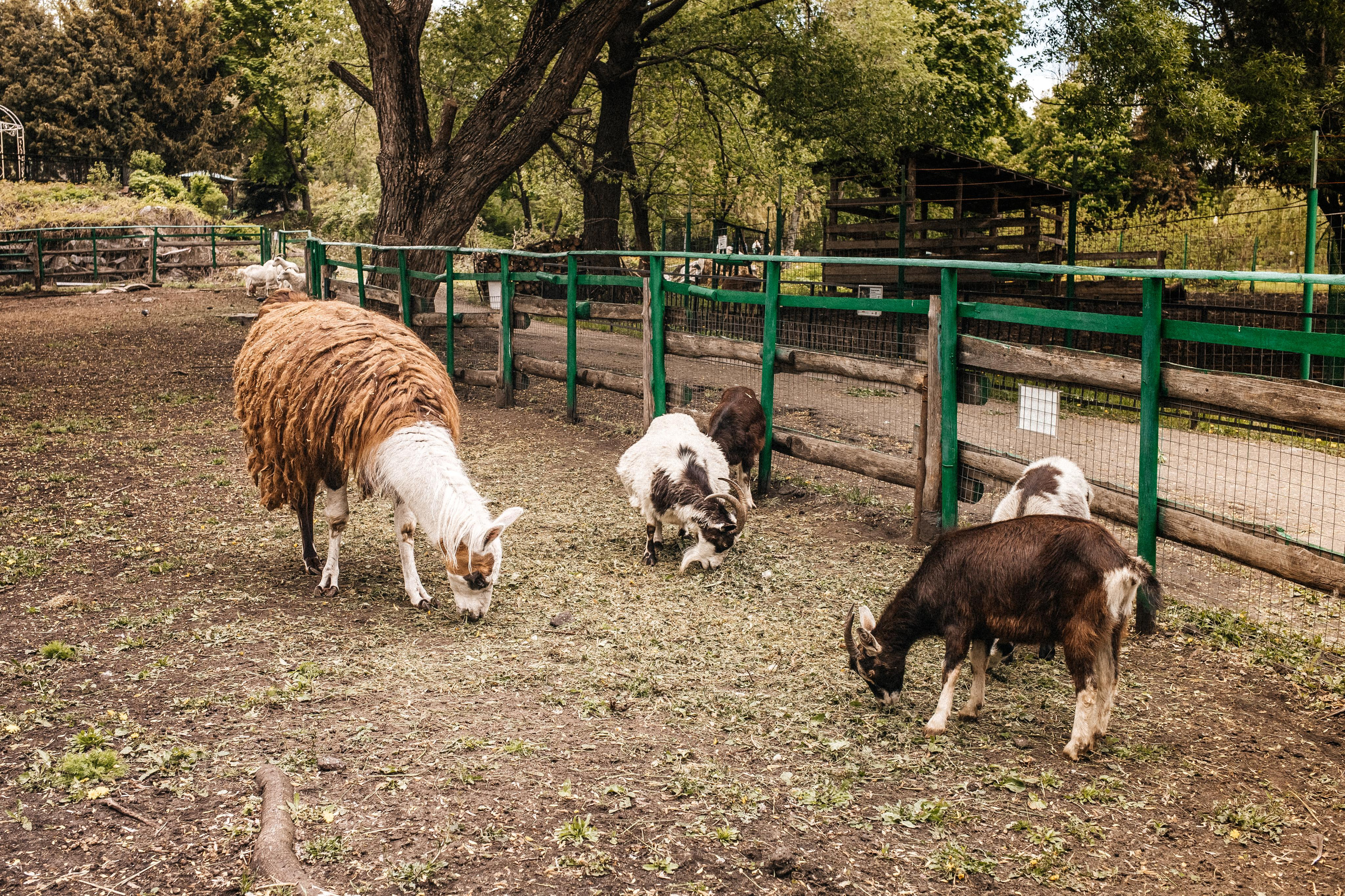 Репортаж 8 класс Пенза. Портретный и семейный фотограф в Саратове Елена Шустова