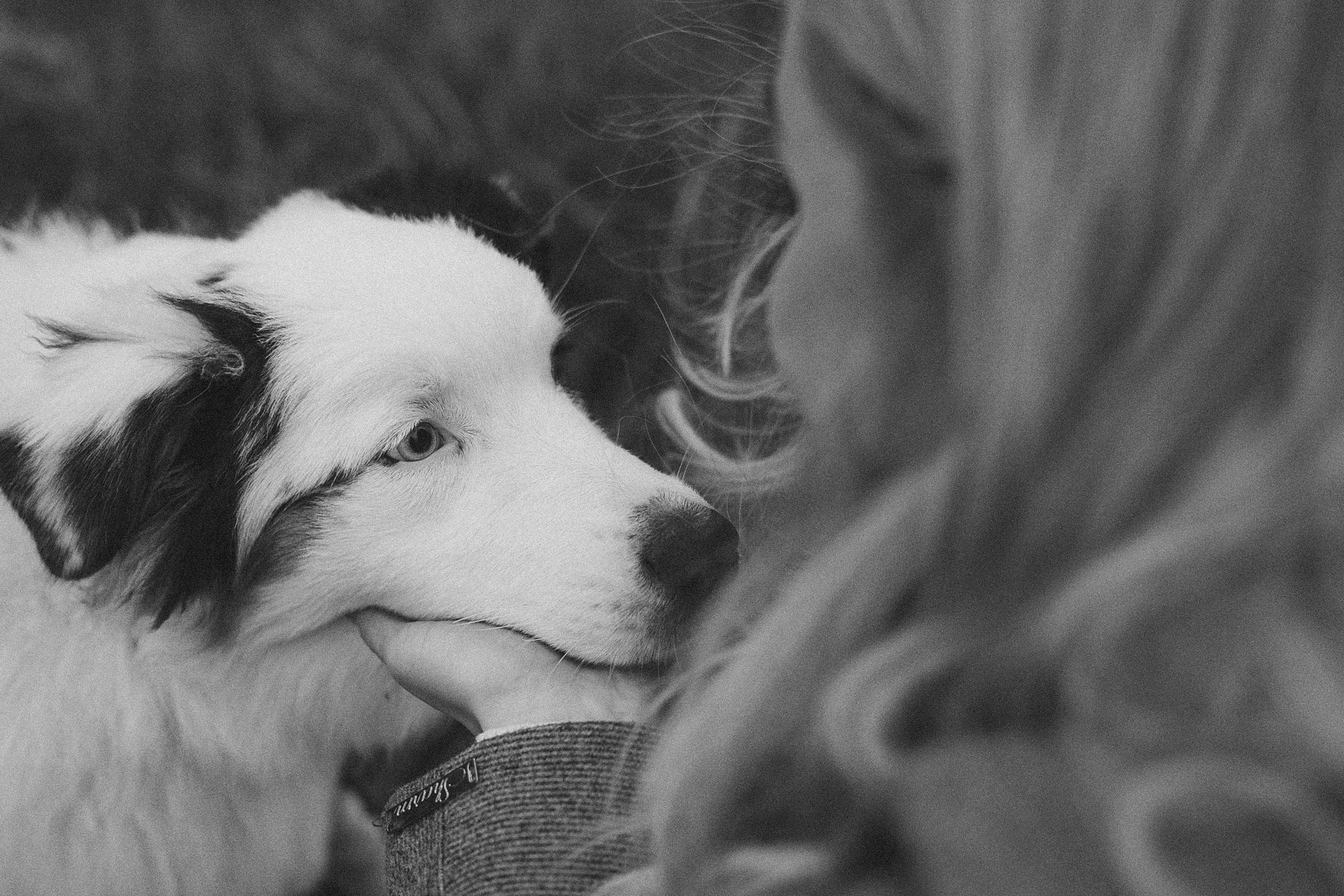 Лиза и Бублик. Фотограф анималист в Москве и Санкт-Петербурге Свиридова Анна