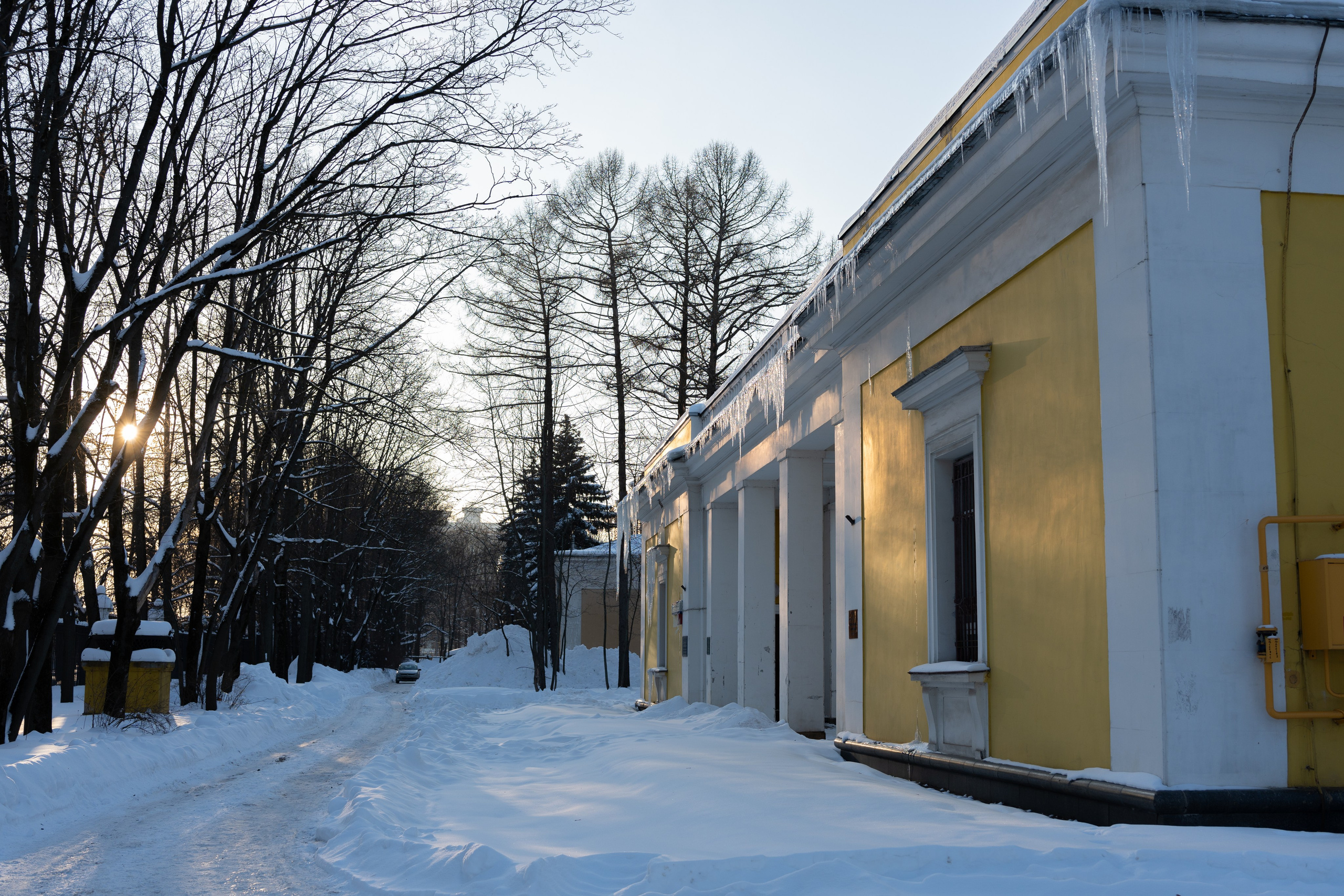 20260118 МГУ. Дмитрий Ремизов. Фотография, как хобби