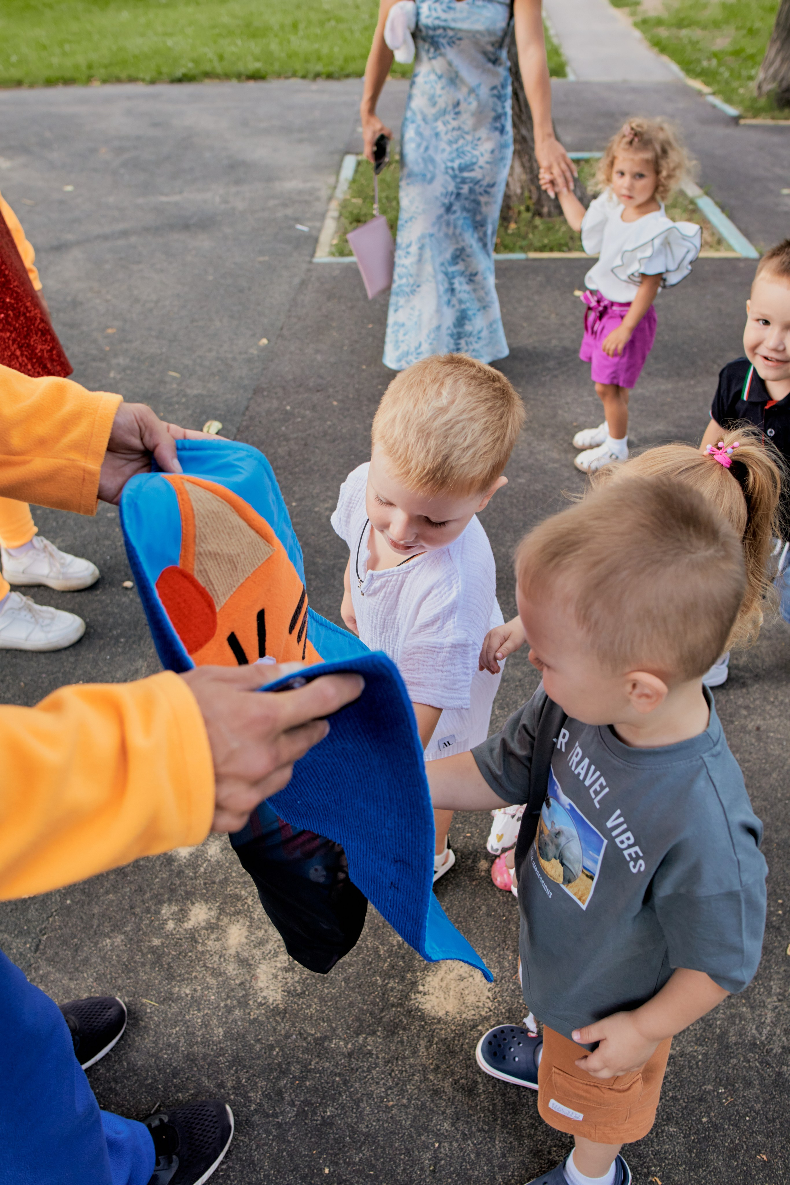 Три кота. Фотограф Москва