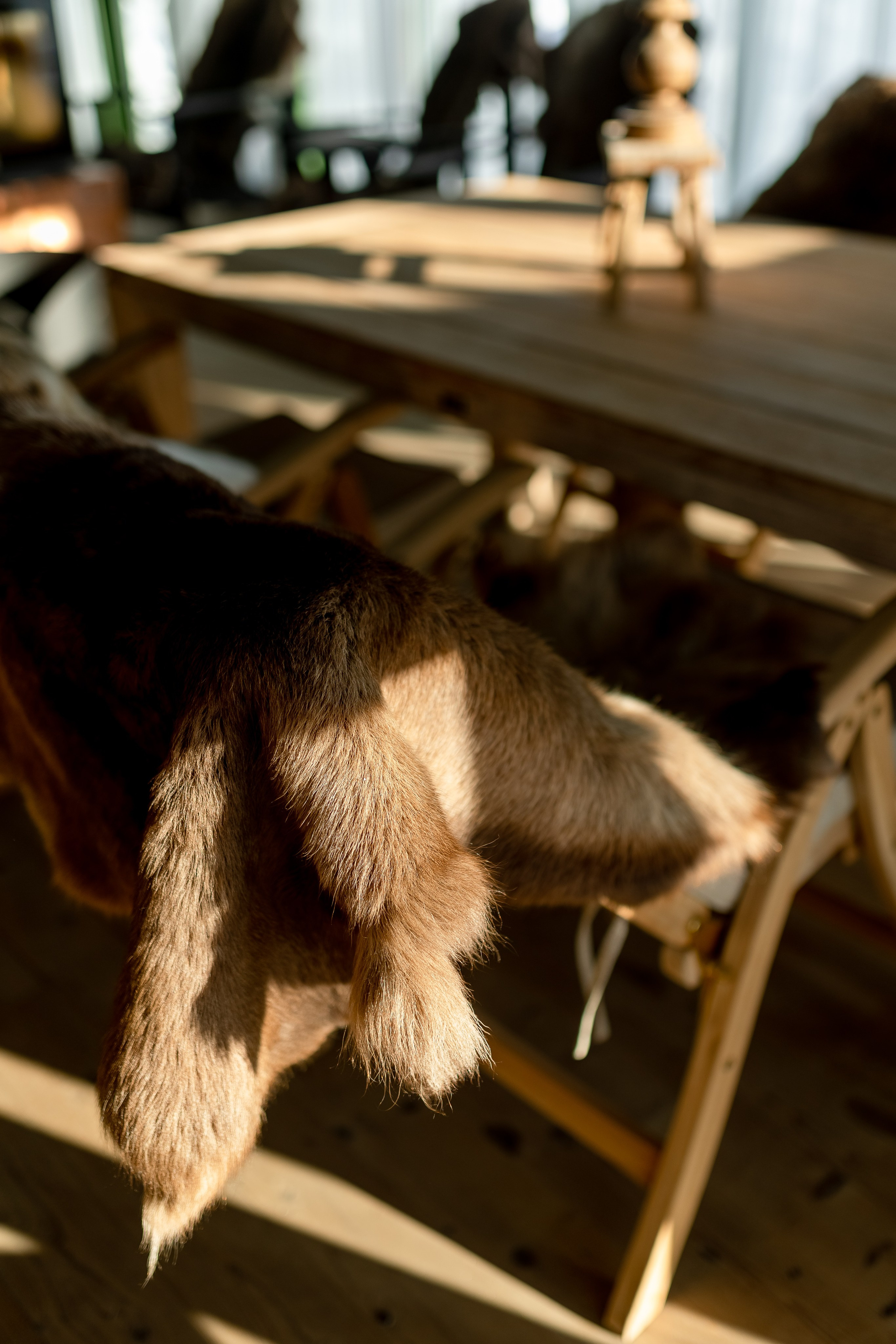 Баня. Главная