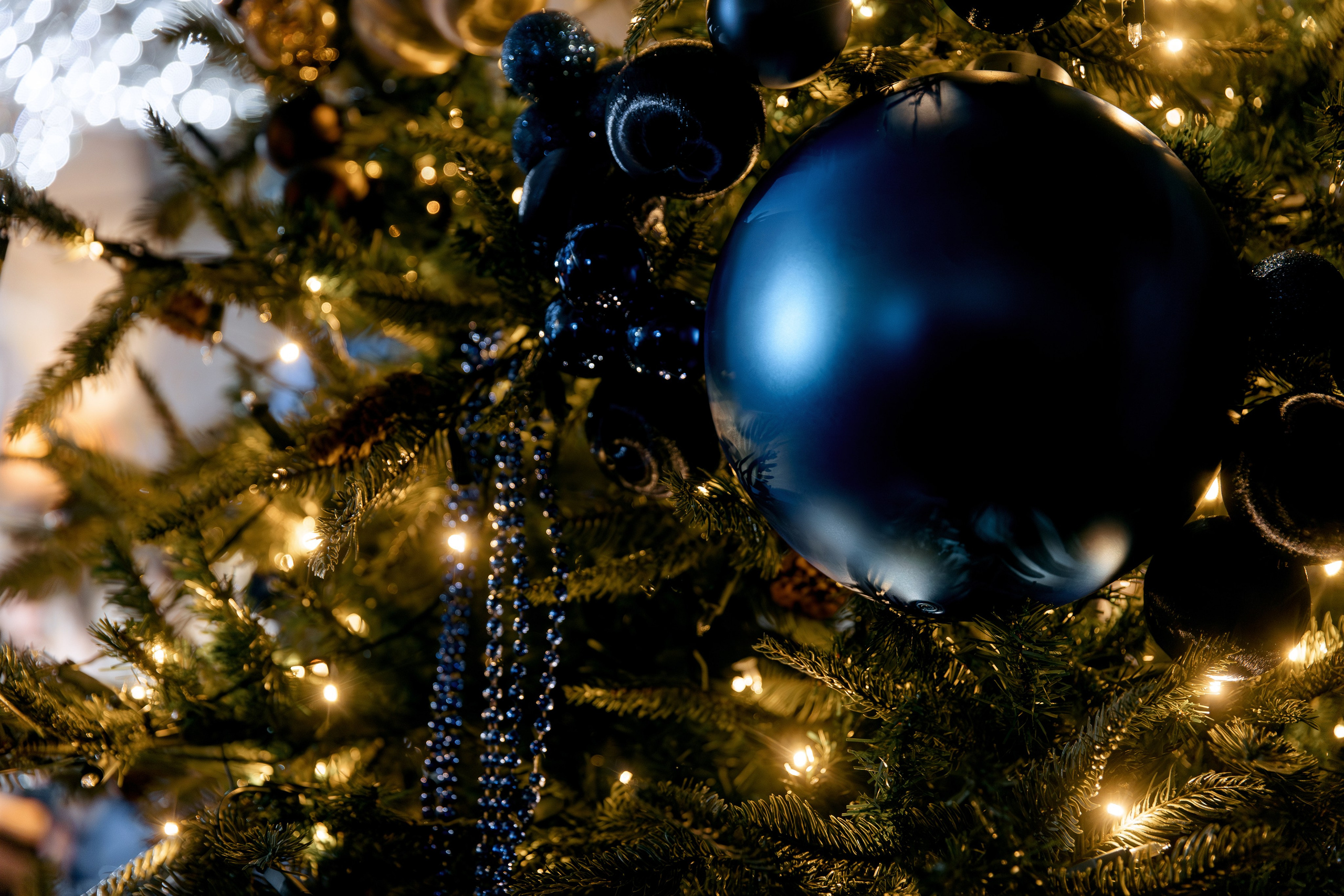 COLLA GEN. Фотограф в Красноярске