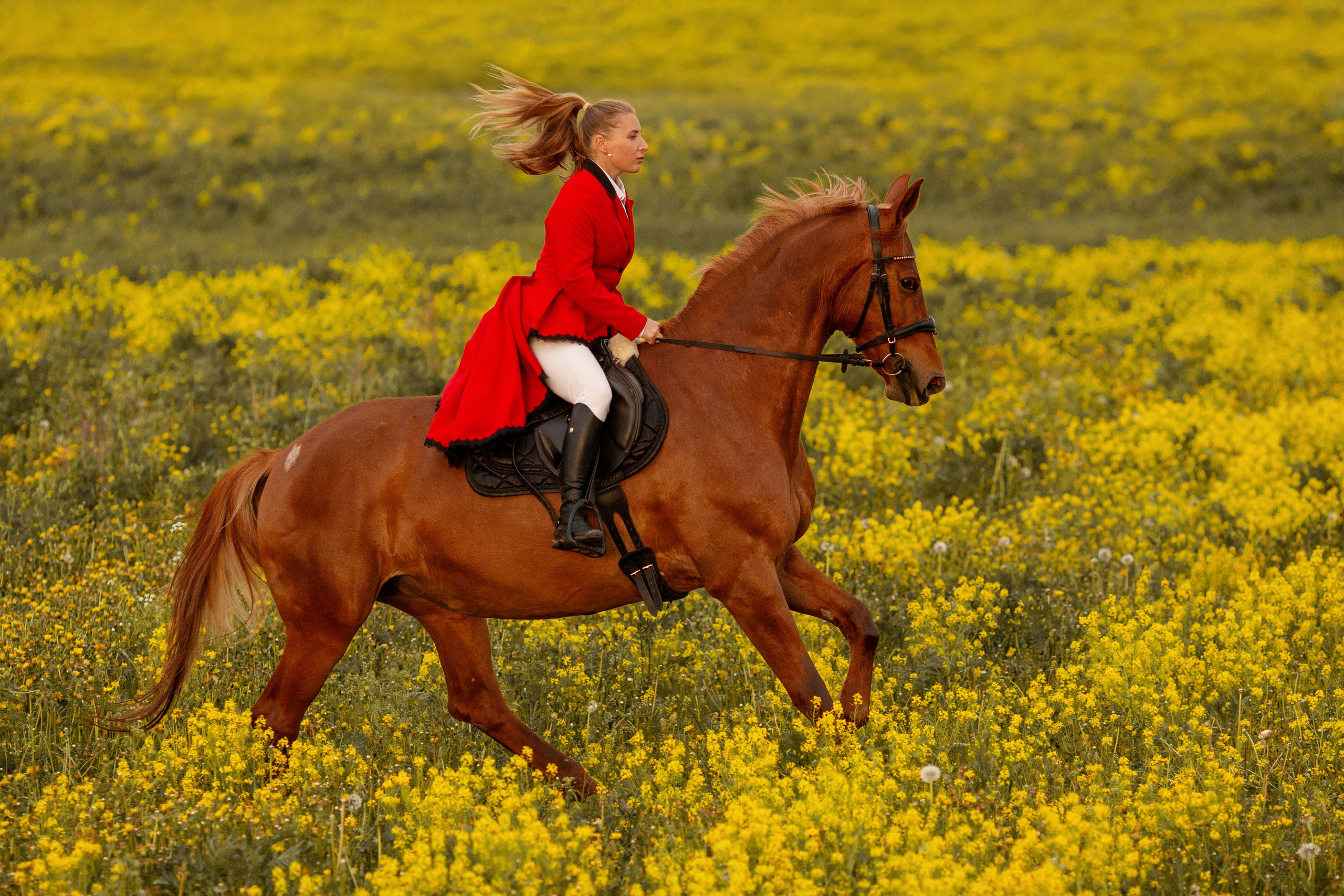 Фотосессия в цветущем поле