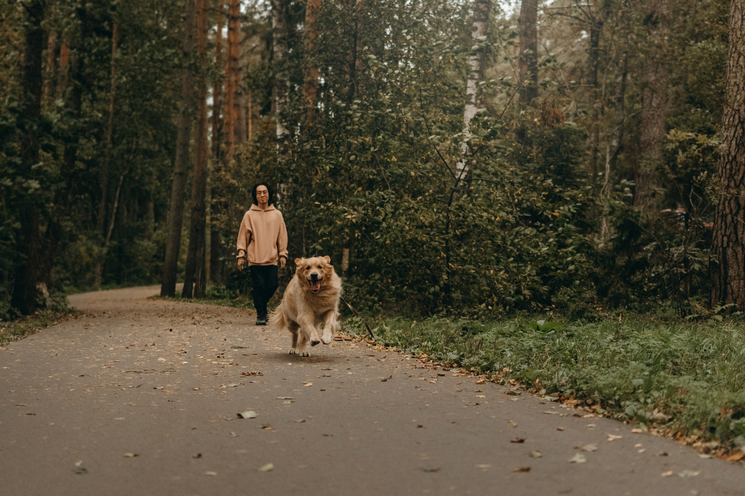 Фоси и его семьи. Фотограф — Анималист | Санкт-Петербург