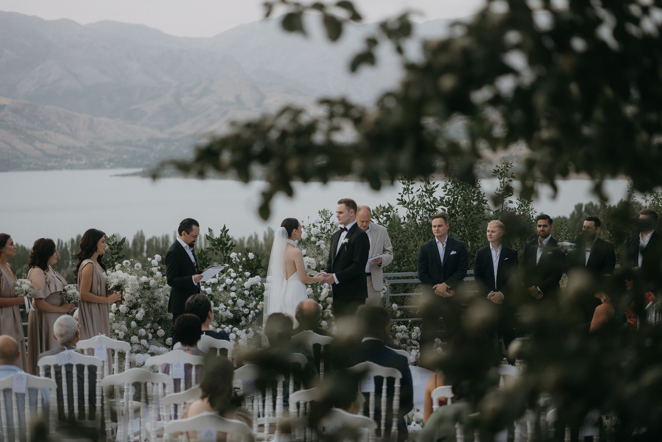 Крокус. Alesya Gee Photographer Uzbekistan