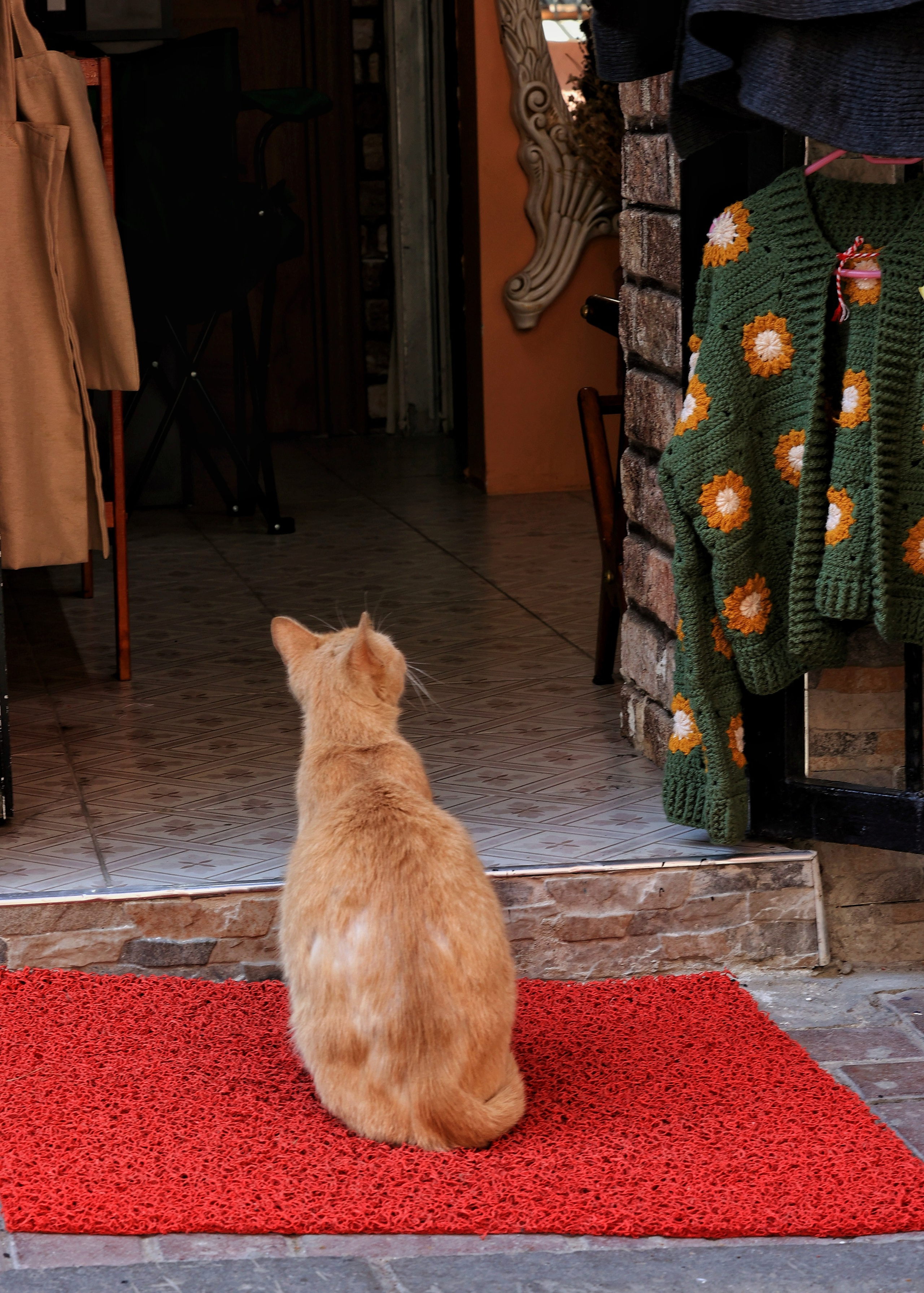 2025 год. Тащилин Сергей. Фотографии. Жизнь. Хобби