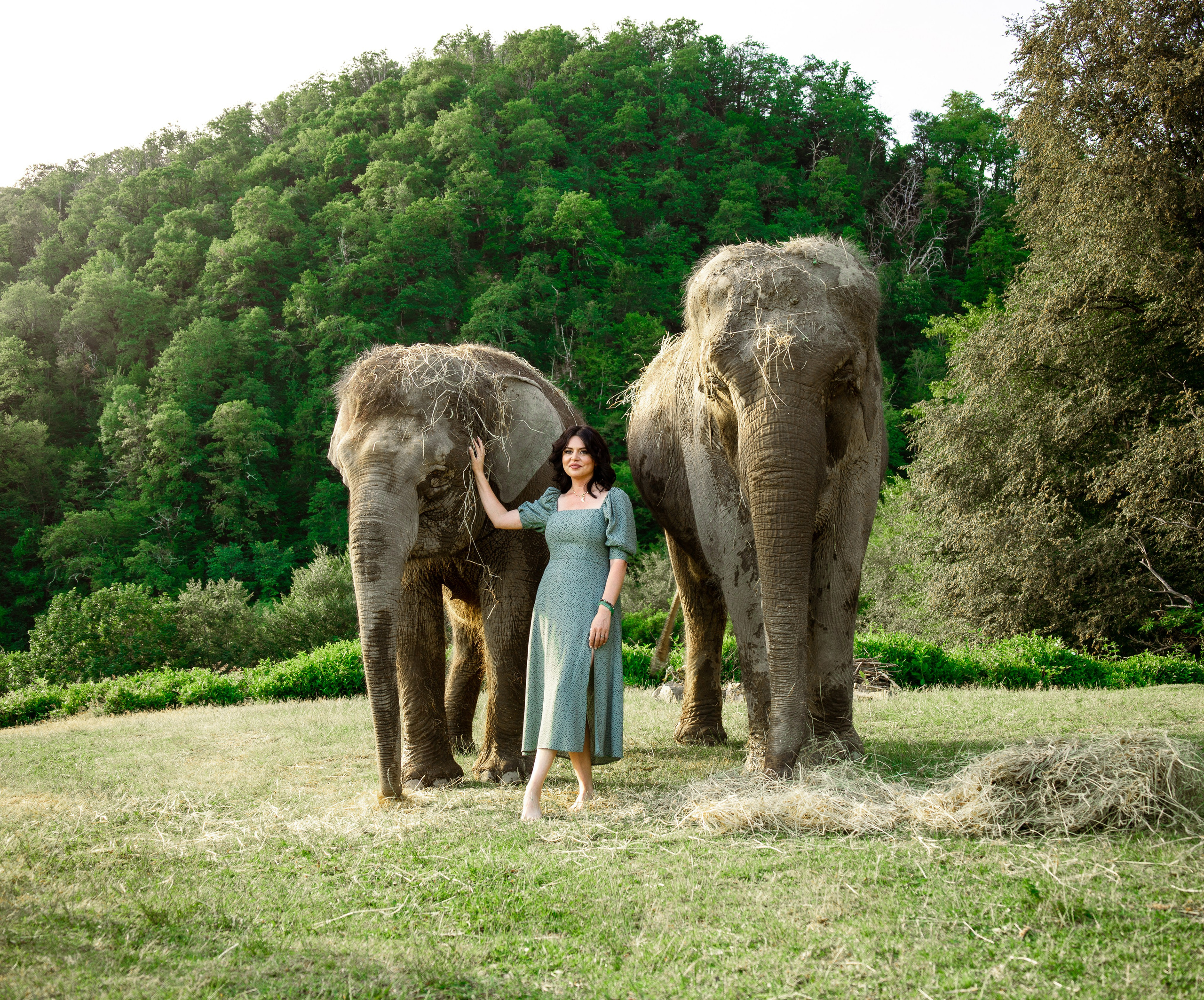 Слоны. Семейный и Свадебный фотограф в Сочи