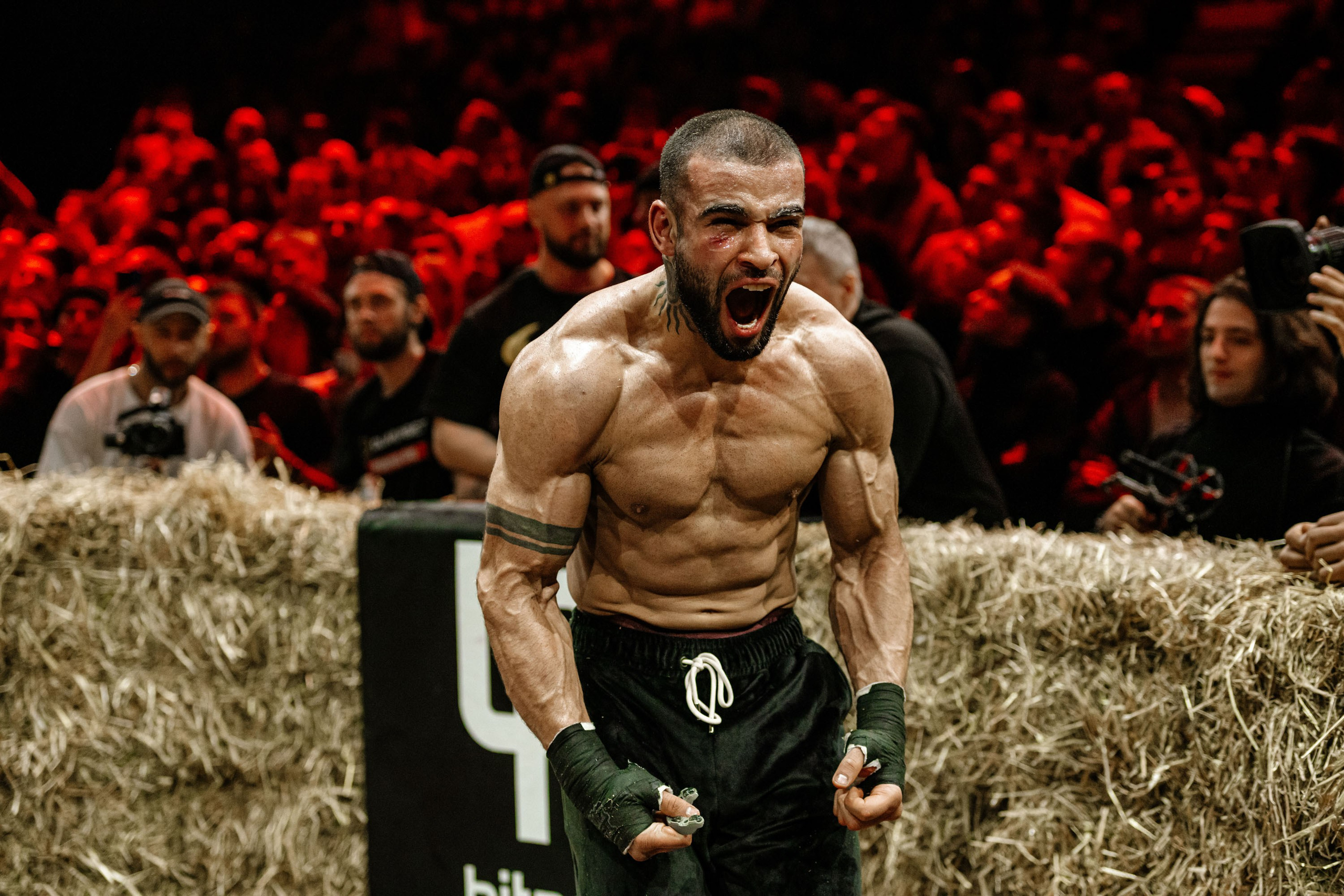 TOP DOG. Максим Комаров — Профессиональный фотограф