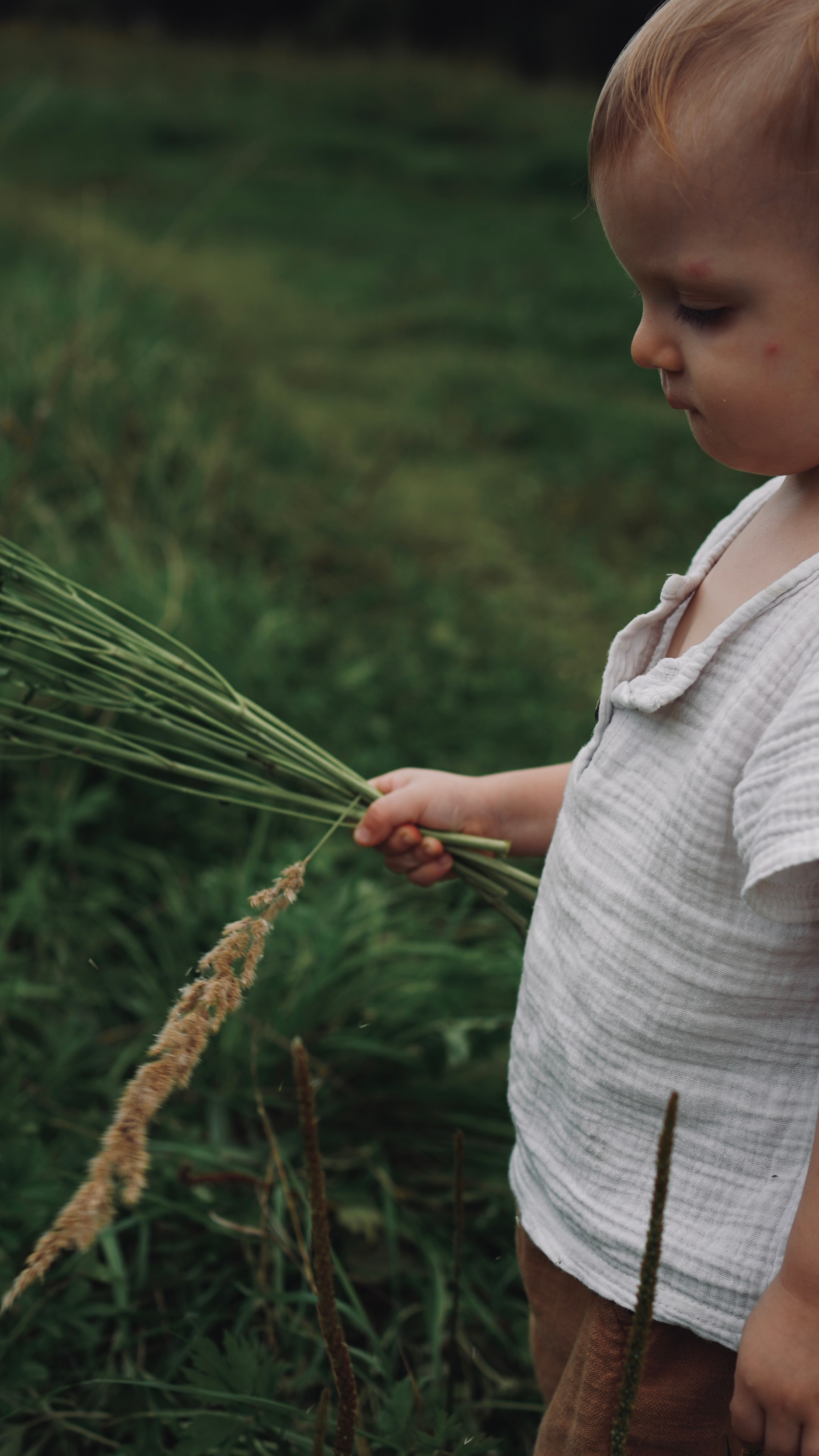 Прогулка в августе. Семейный и детский фотограф в Зеленограде Коваленко Дарья. Съемка праздников и выпускных, дней рождений
