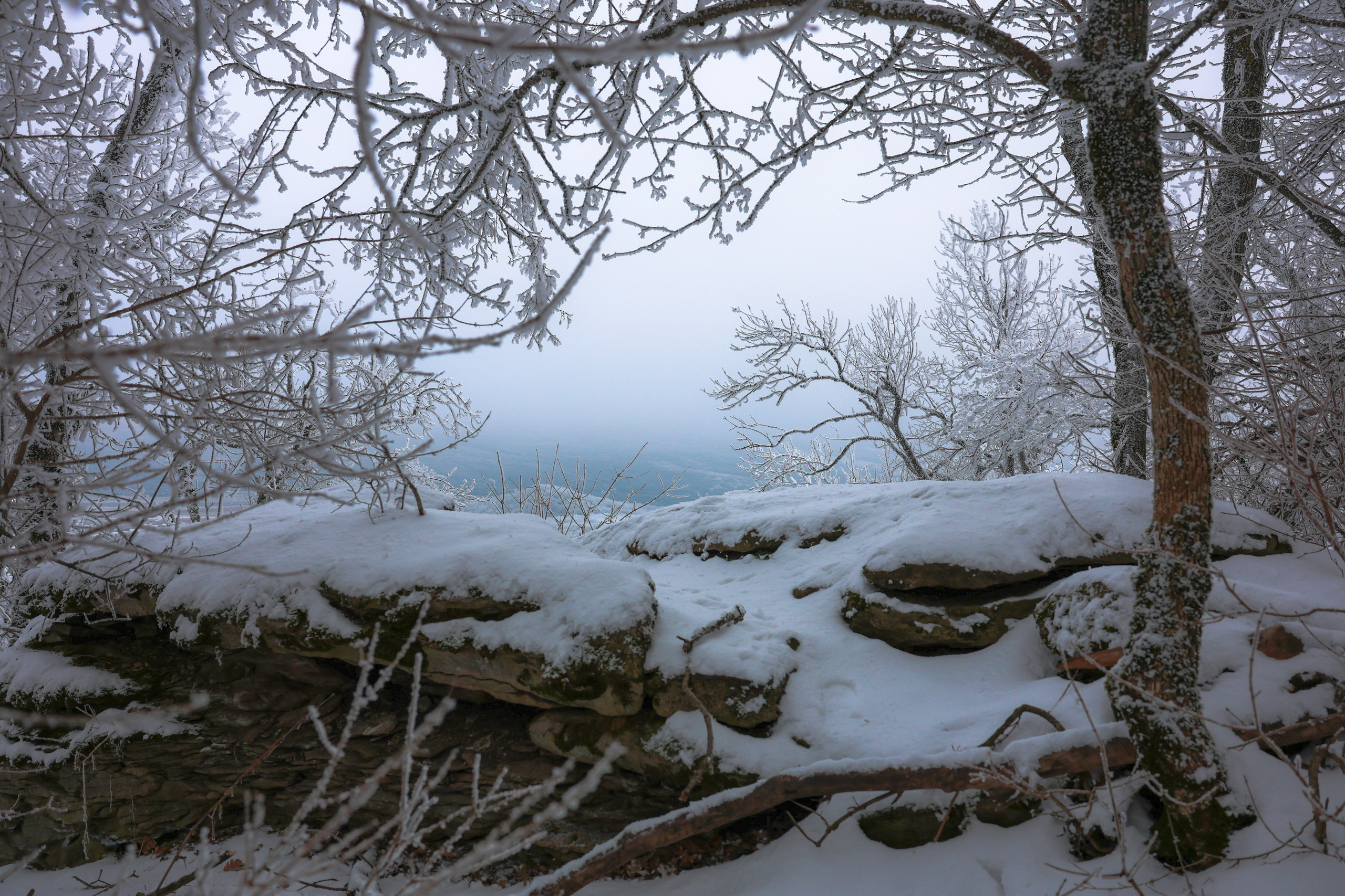 Фотограф Мария Алексеева. Мария Алексеева. Фотограф в Москве