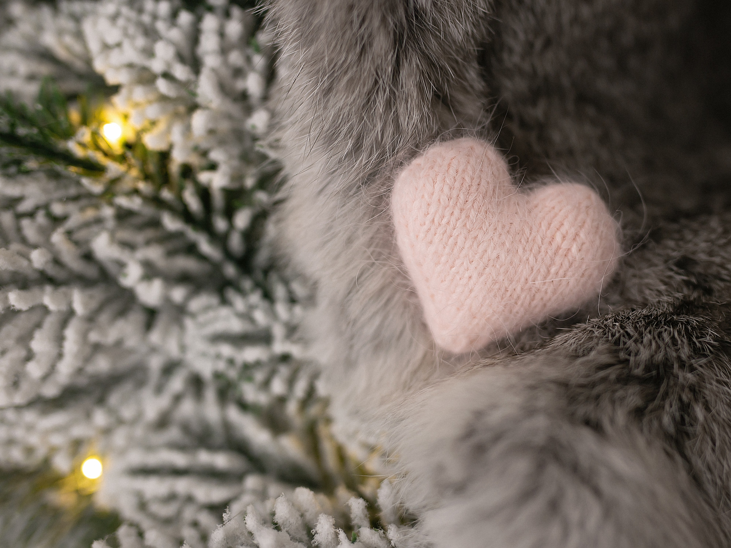 Новорожденные. Фотограф в Перми Anastasia Aone