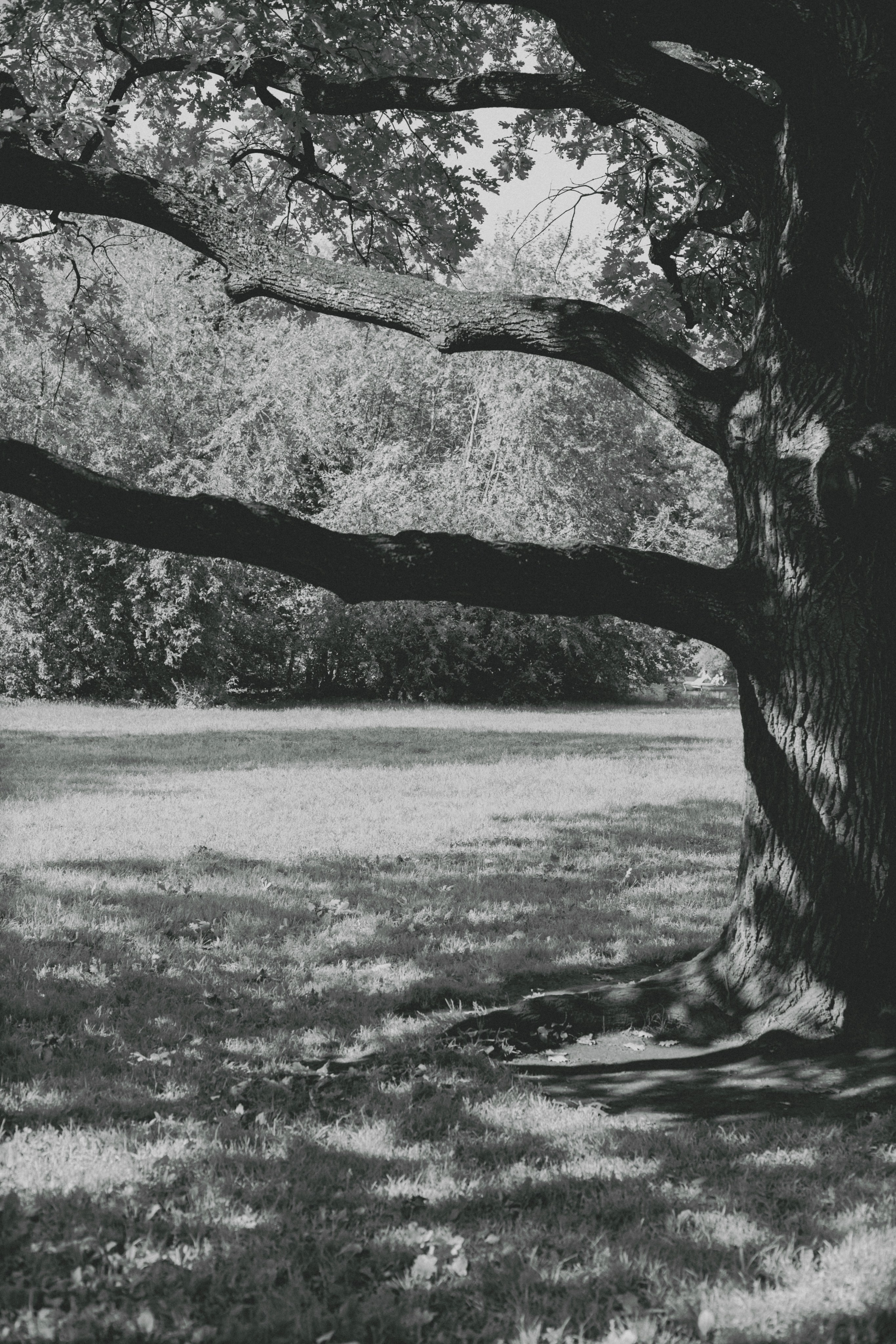 An island. Валерия Трофимова ФОТОГРАФ|Санкт-Петербург |Крым