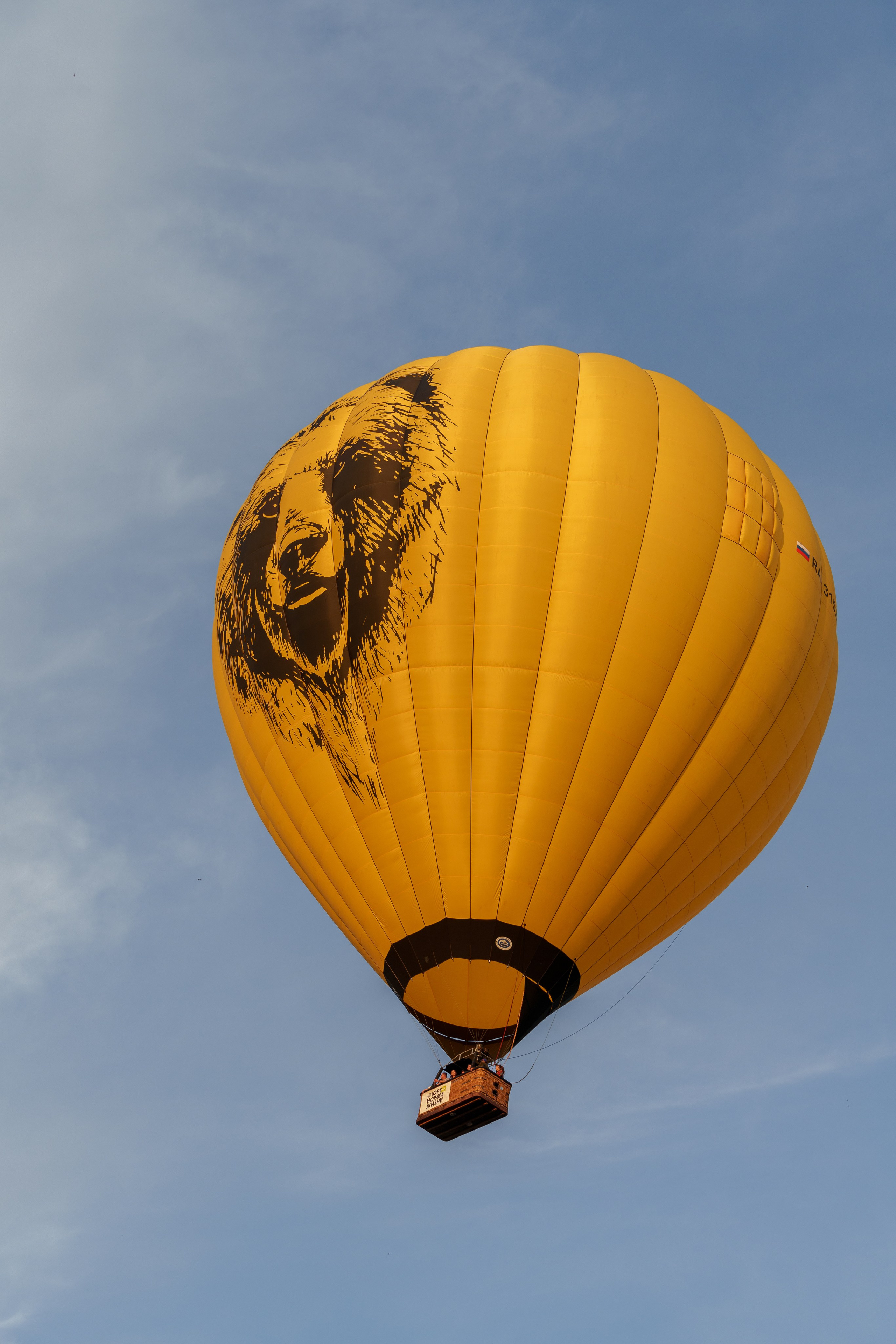 Фиеста Аэростатов. Sunnyman