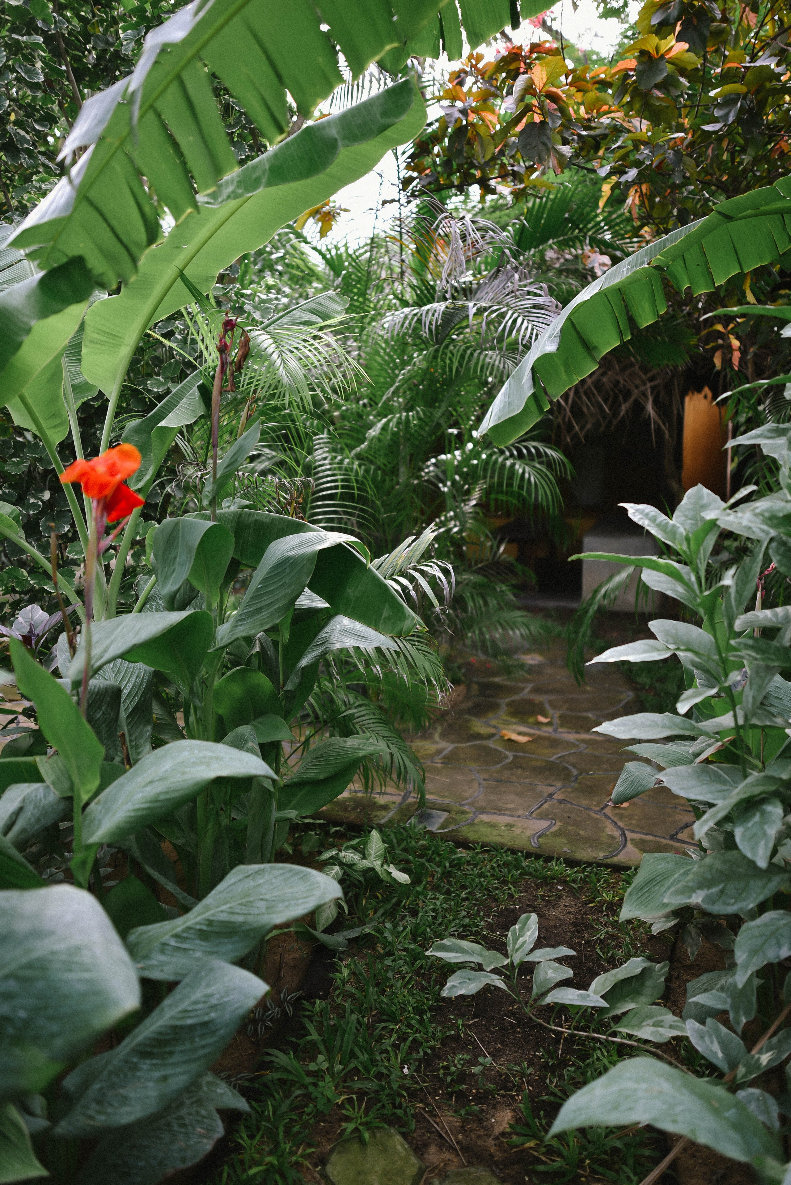 Съемка серфинга с воды в Аругам Бэй | Девушка на волнах восточного побережья. Фотограф на Шри-Ланке