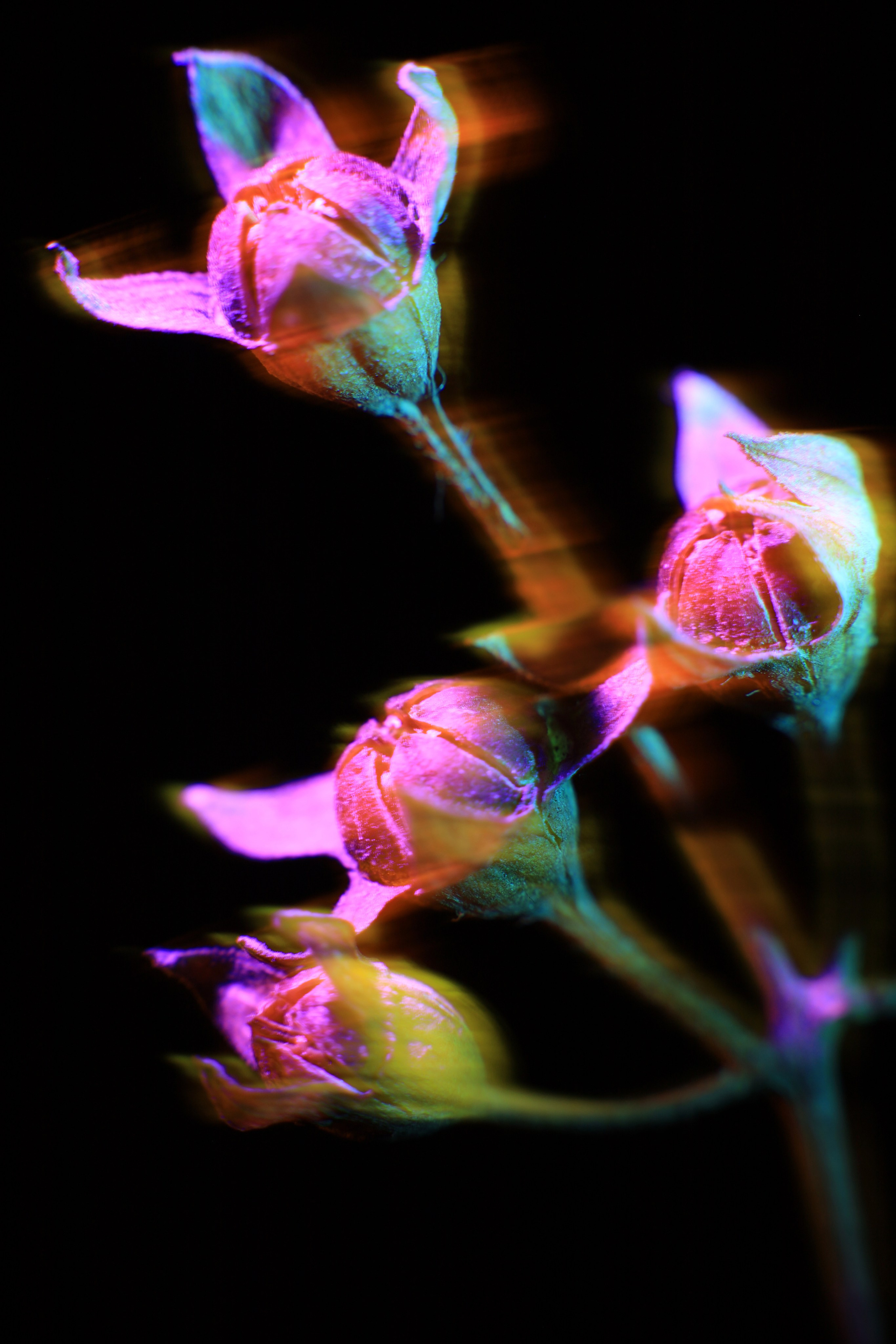 Об авторе. Арт-фотограф во Владивостоке Дмитрий Осипчук