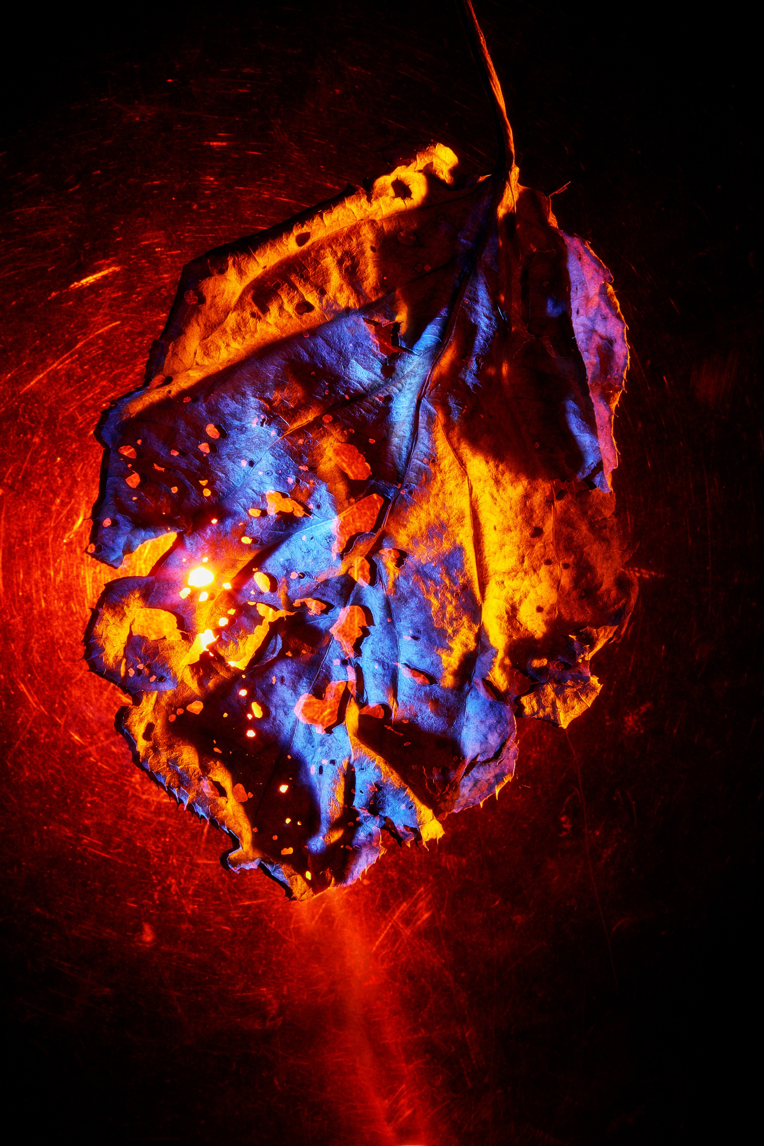 «Красок Тьма Полна». Арт-фотограф во Владивостоке Дмитрий Осипчук