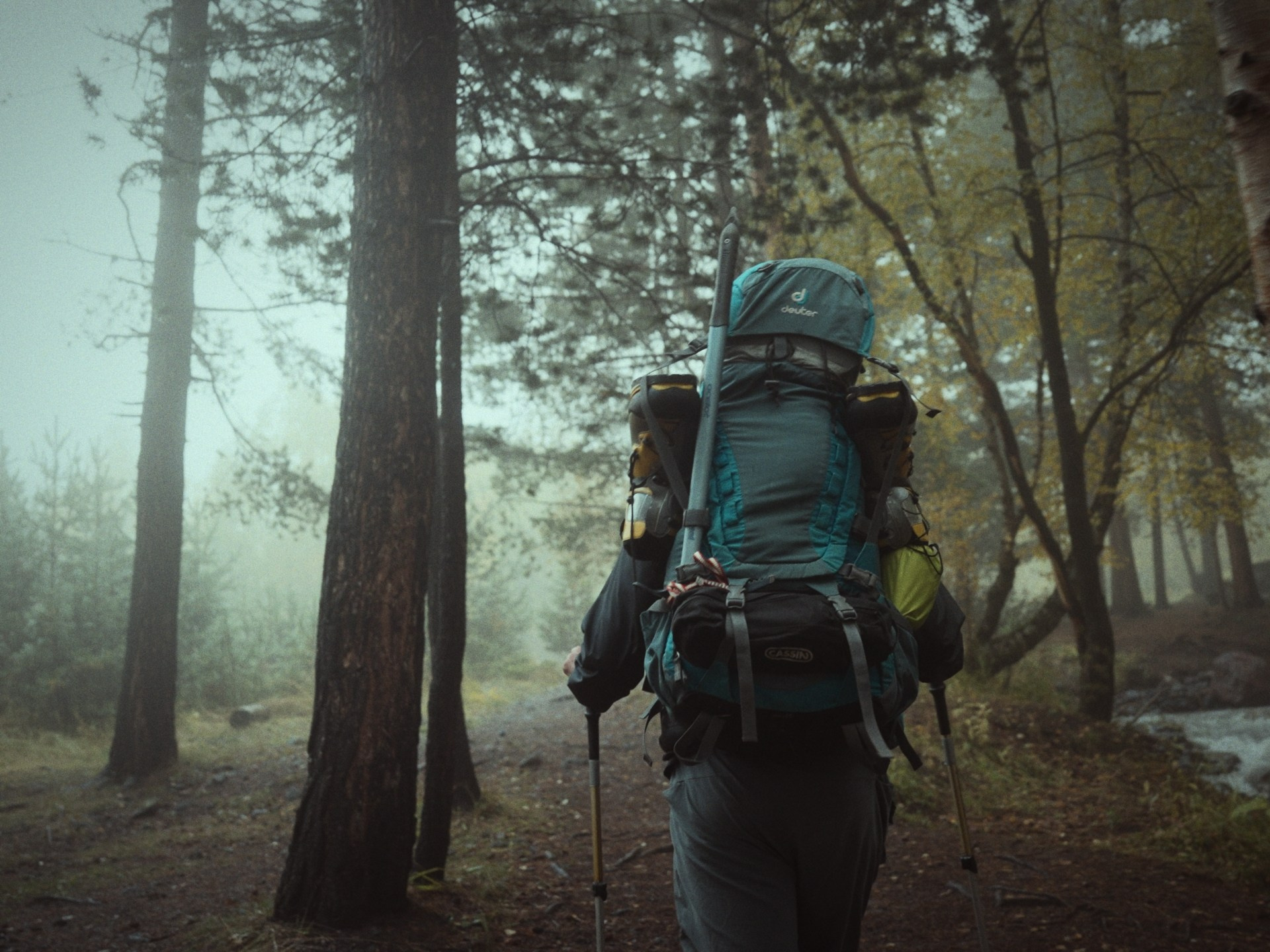 LUT SONY SLOG3. Видеооператор, Видеограф в Москве, Видео монтаж