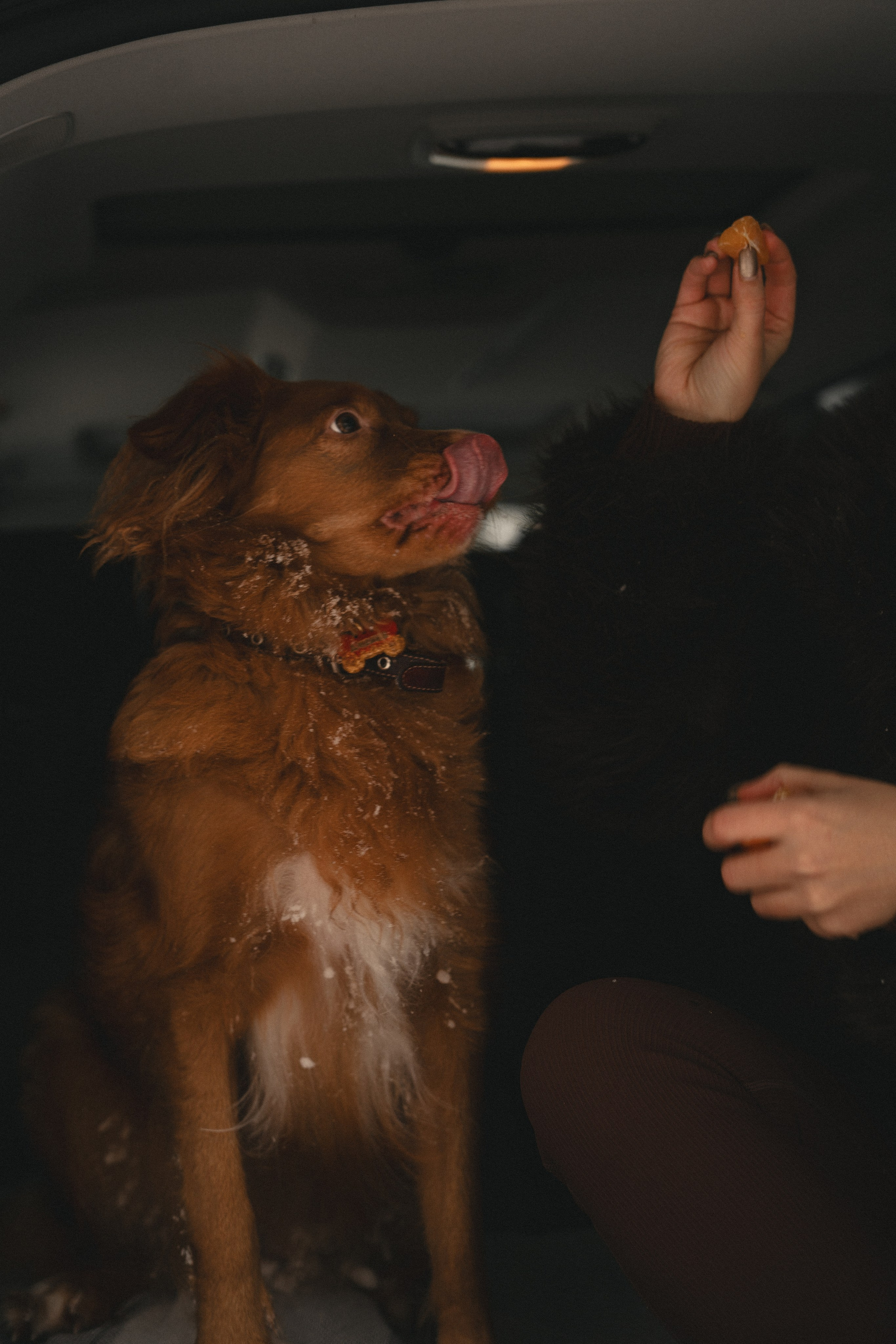 Зимний лес.Индивидуальная. Фотограф/рилсмейкер в Москве и МО. Свадьбы, индивидуальные съемки, лавстори, беременность, мероприятия, бренды